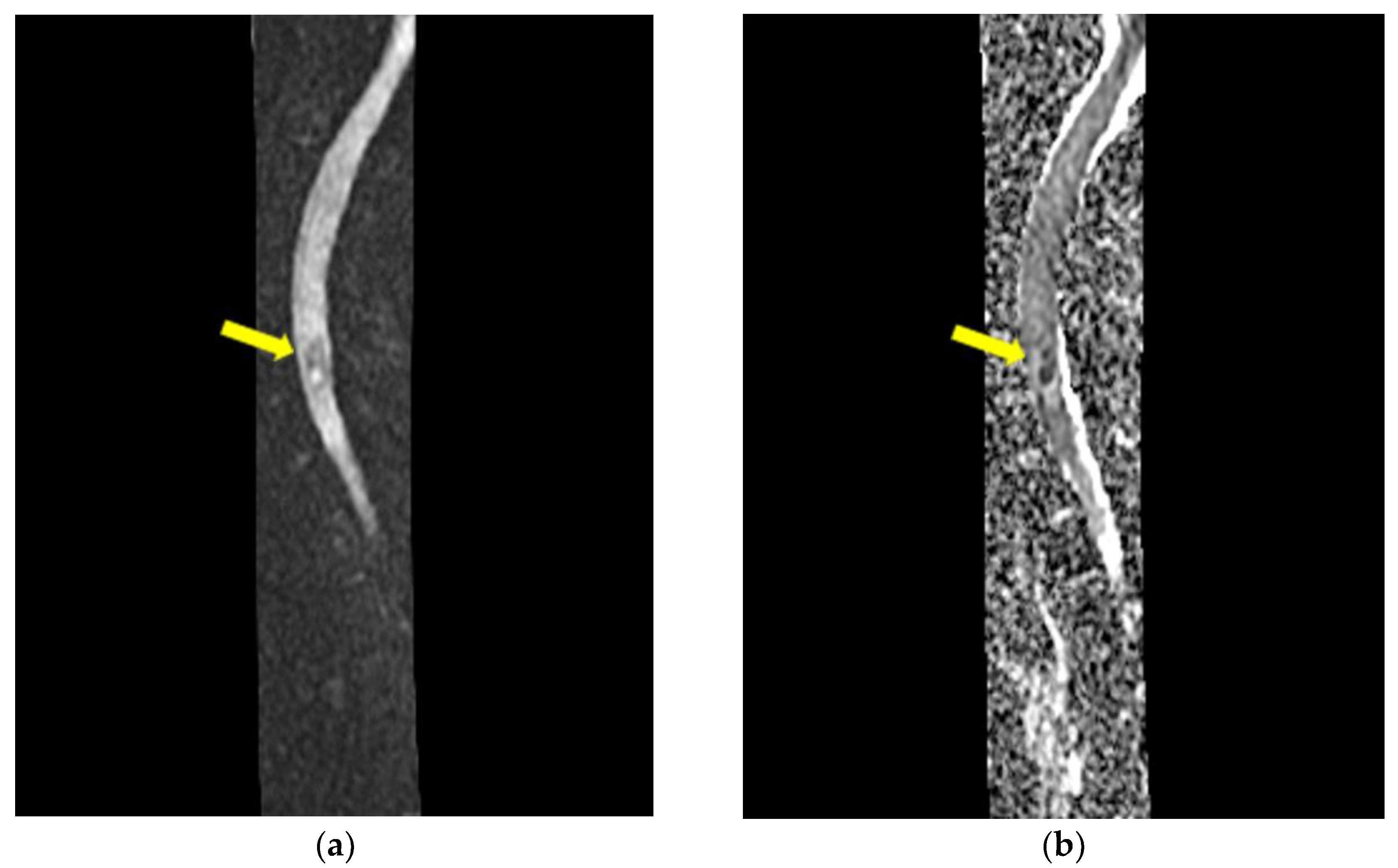 Medicina 59 00806 g005