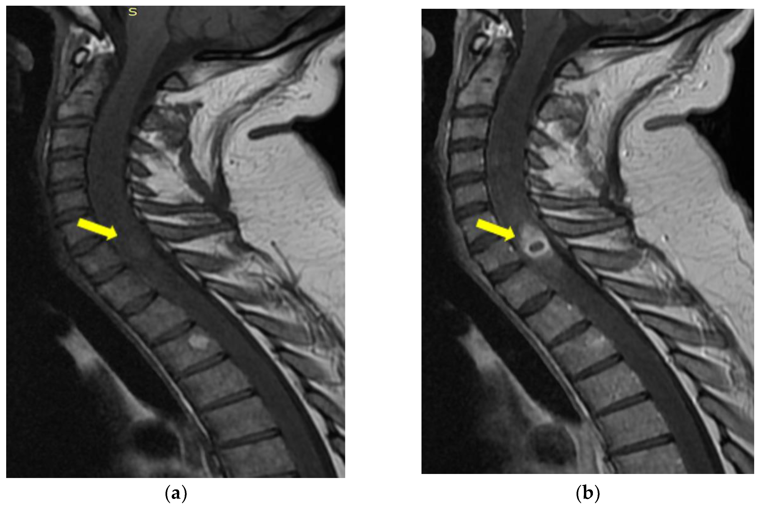 Medicina 59 00806 g006