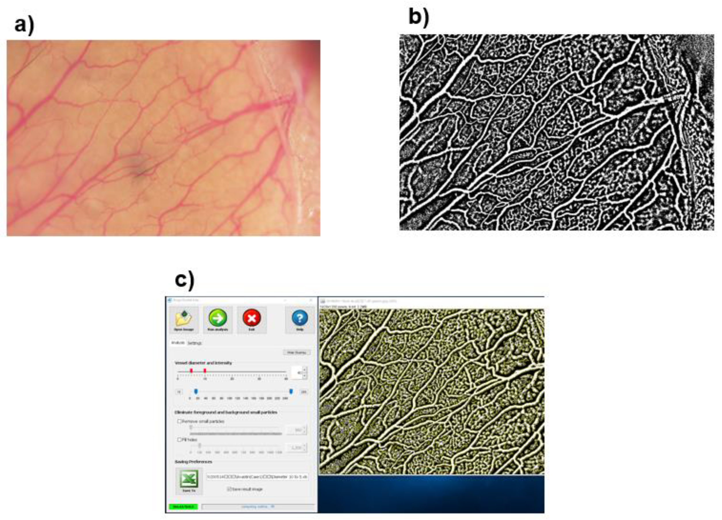Medicina 59 00809 g002