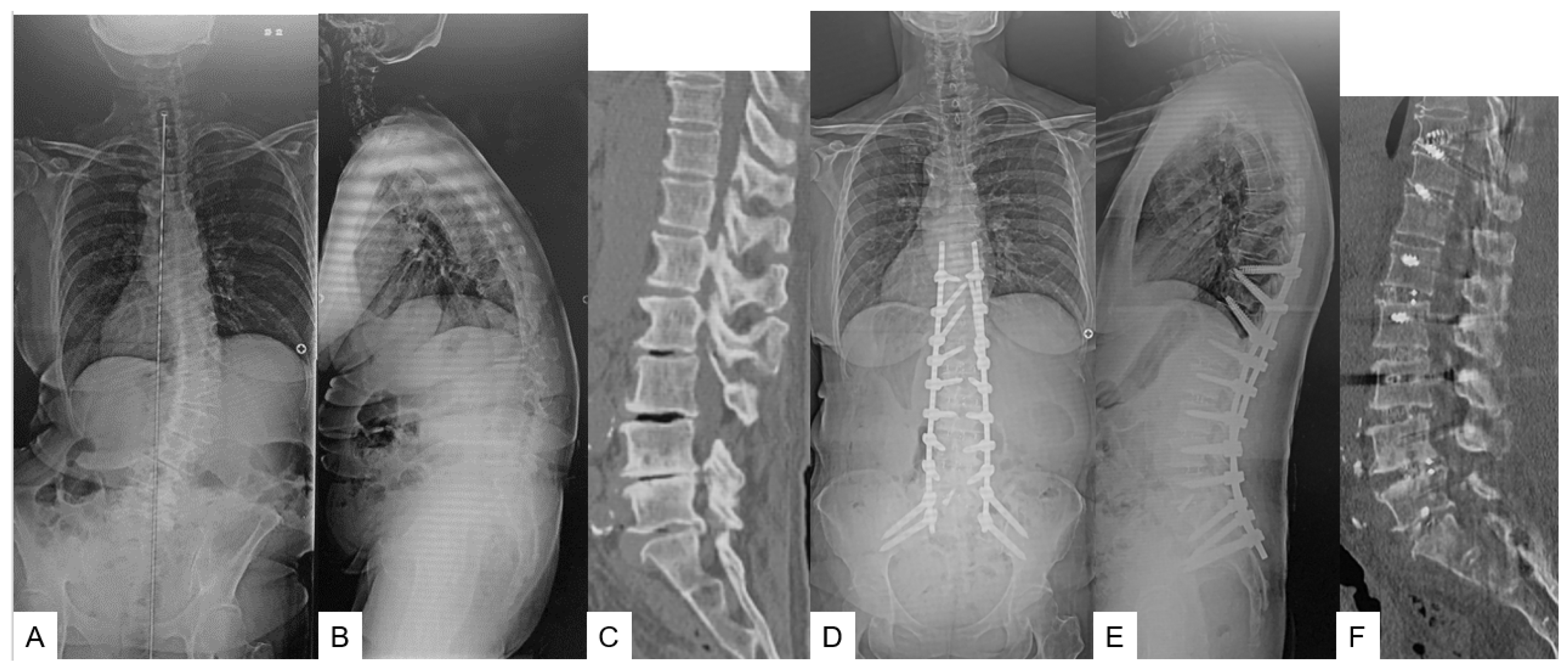 Medicina 59 00838 g001 Medicina 59 00838 g001