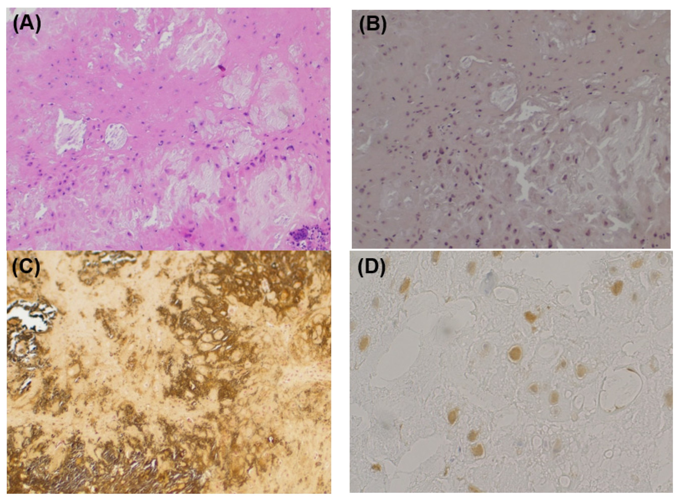 Medicina 59 00842 g003 Medicina 59 00842 g003