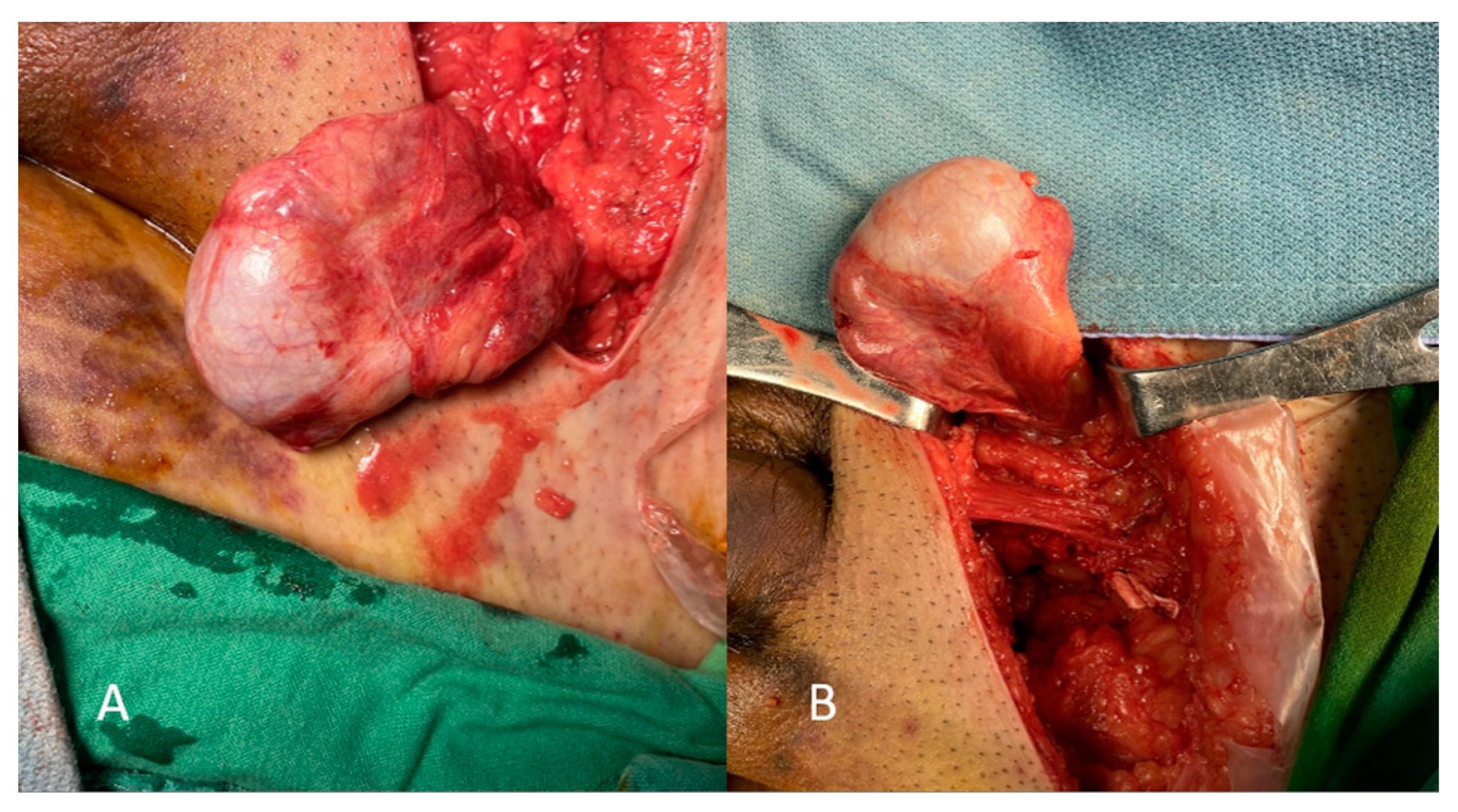 Medicina 59 00892 g003