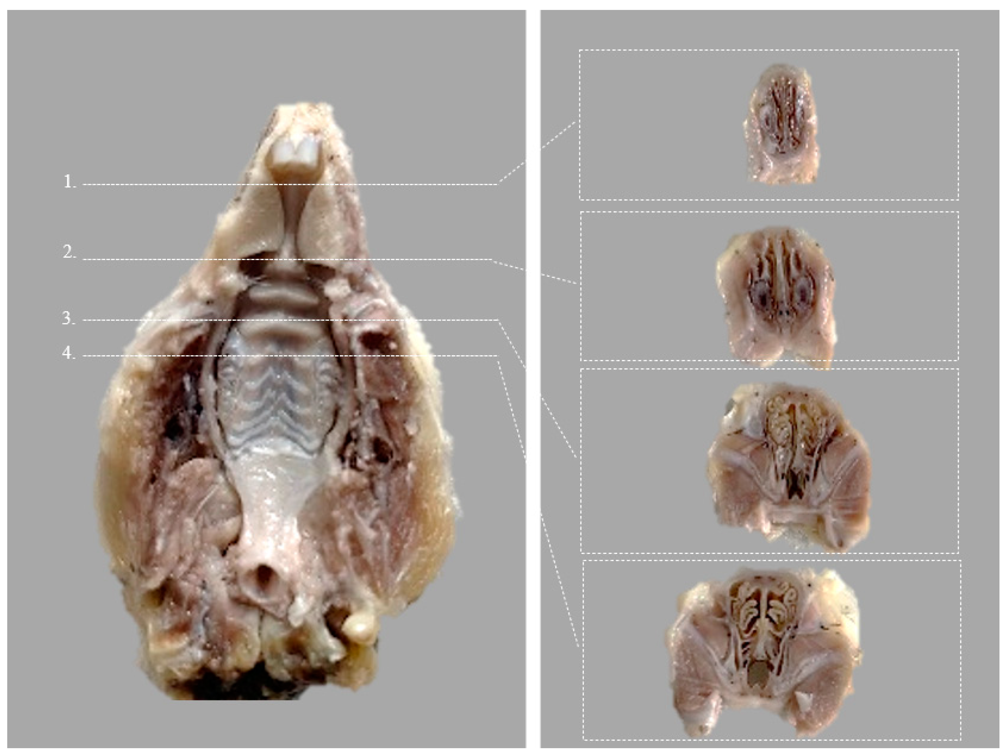 Medicina 59 00897 g003 Medicina 59 00897 g003