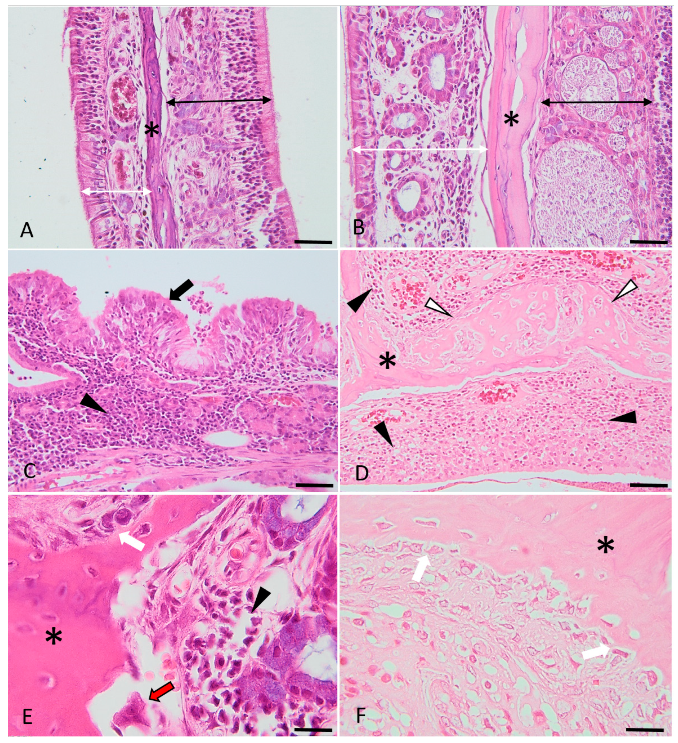 Medicina 59 00897 g005 Medicina 59 00897 g005