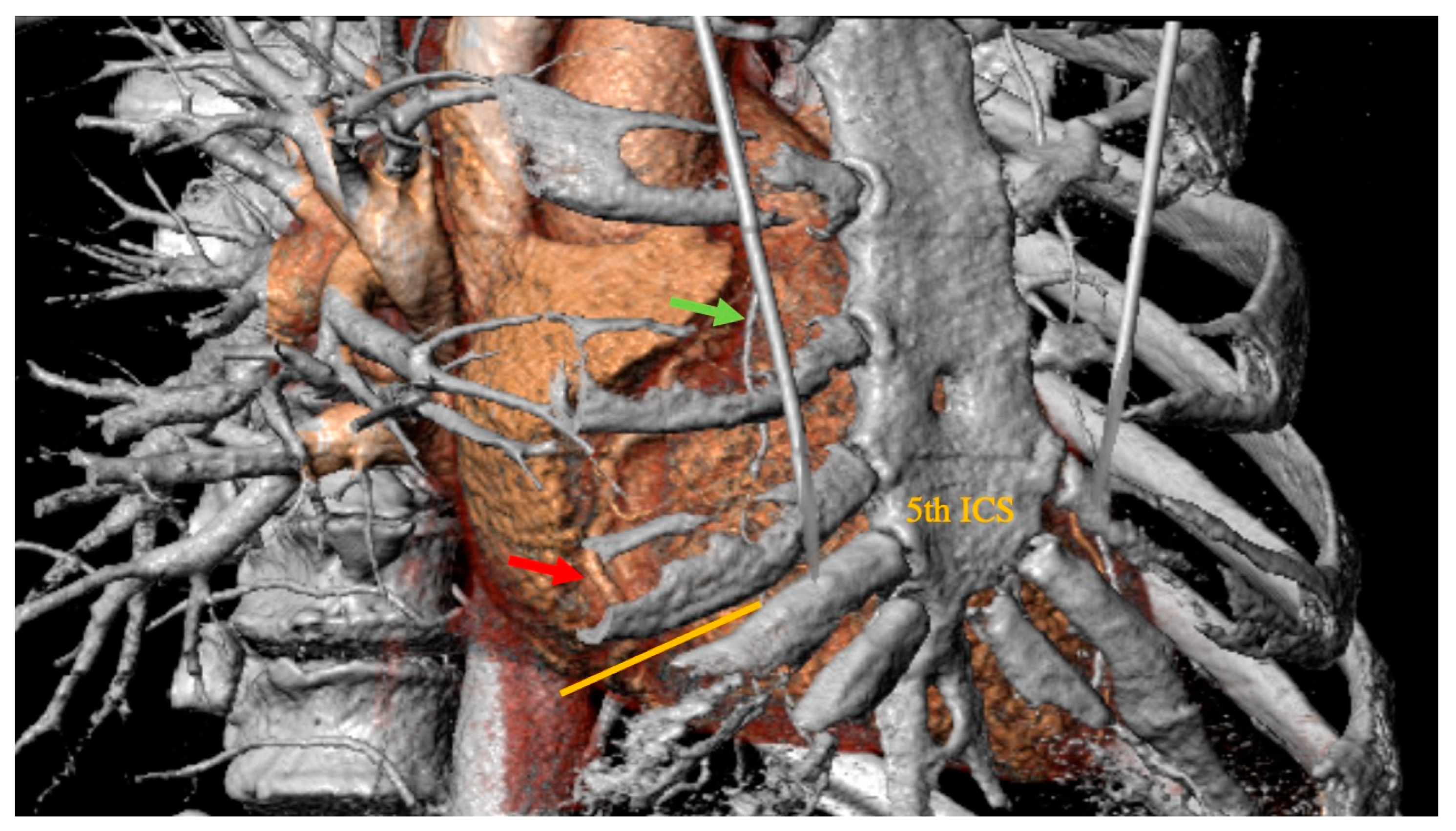 Medicina 59 00907 g001
