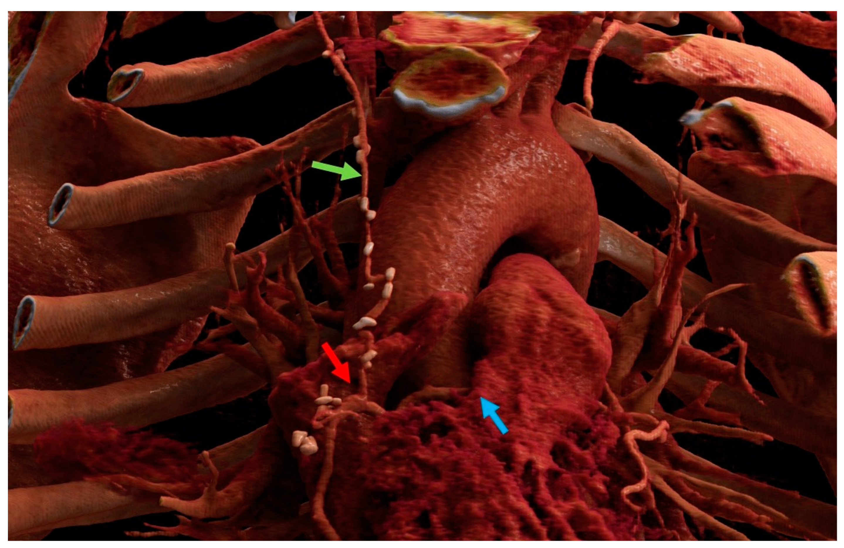 Medicina 59 00907 g004