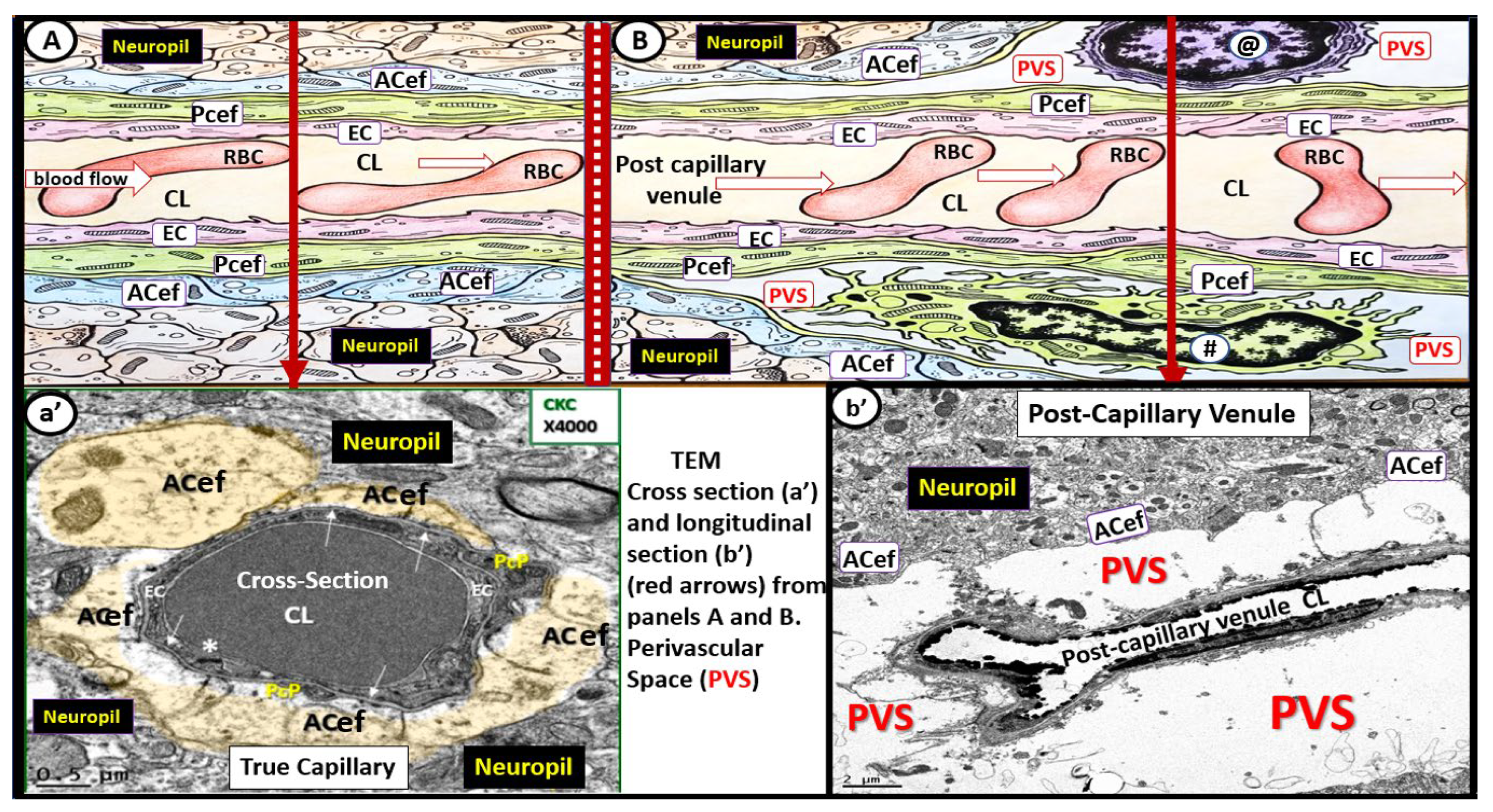 Medicina 59 00917 g002 Medicina 59 00917 g002