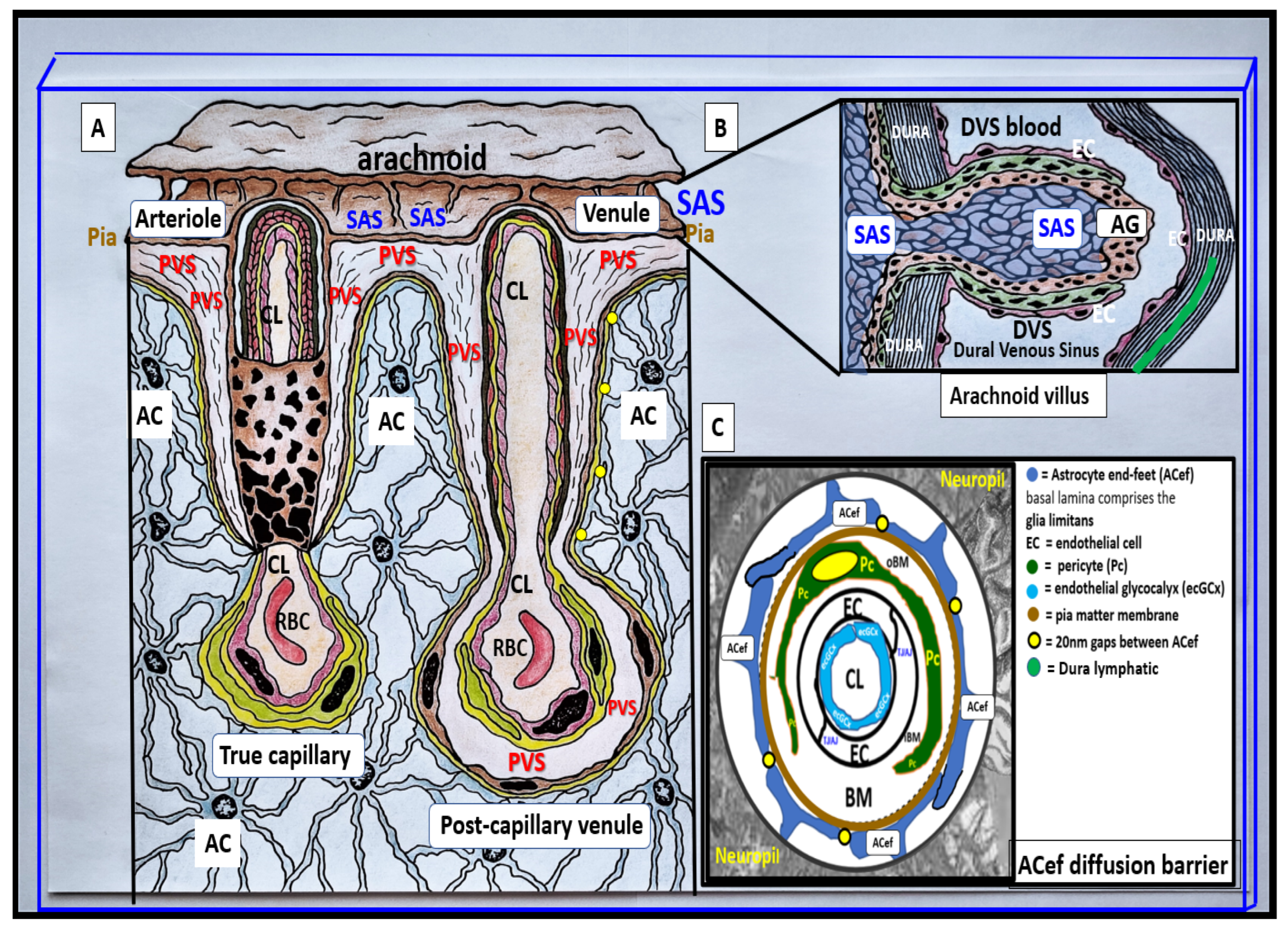 Medicina 59 00917 g003 Medicina 59 00917 g003