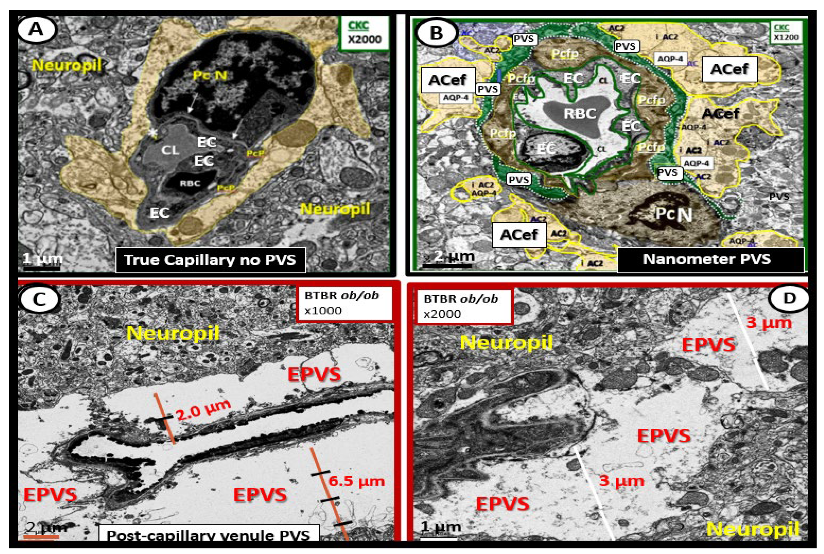 Medicina 59 00917 g004 Medicina 59 00917 g004