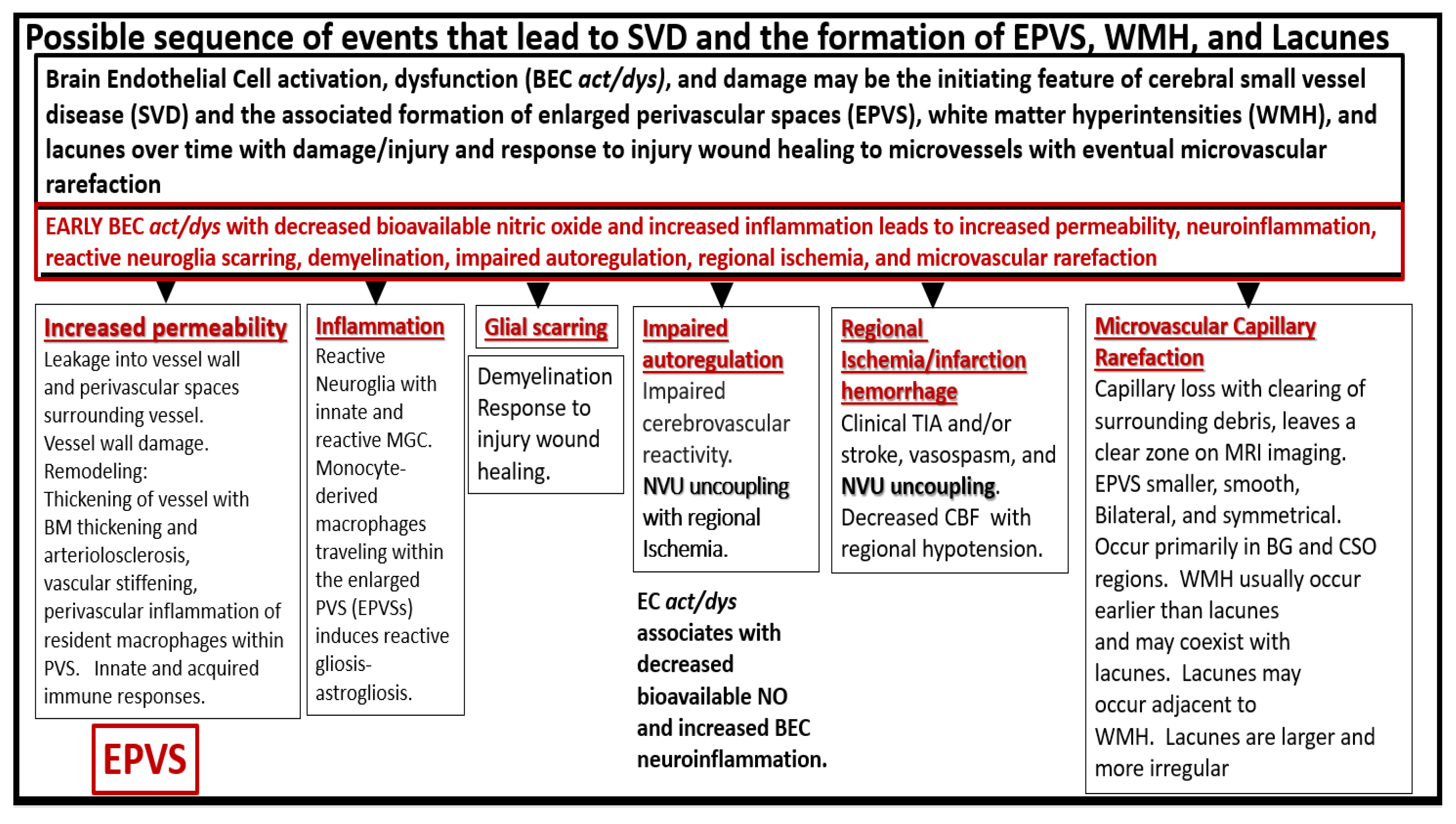 Medicina 59 00917 g007 Medicina 59 00917 g007