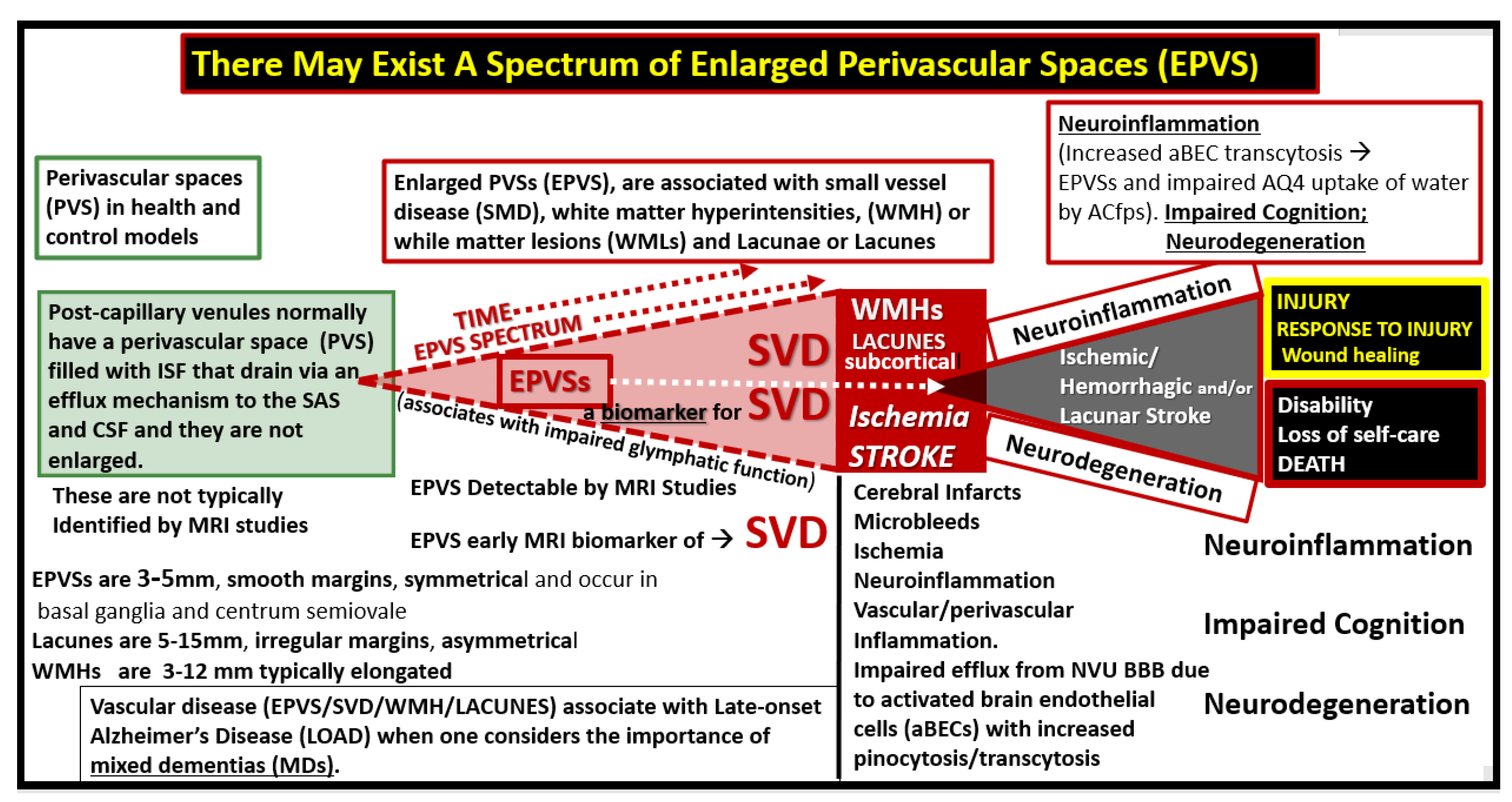 Medicina 59 00917 g008 Medicina 59 00917 g008