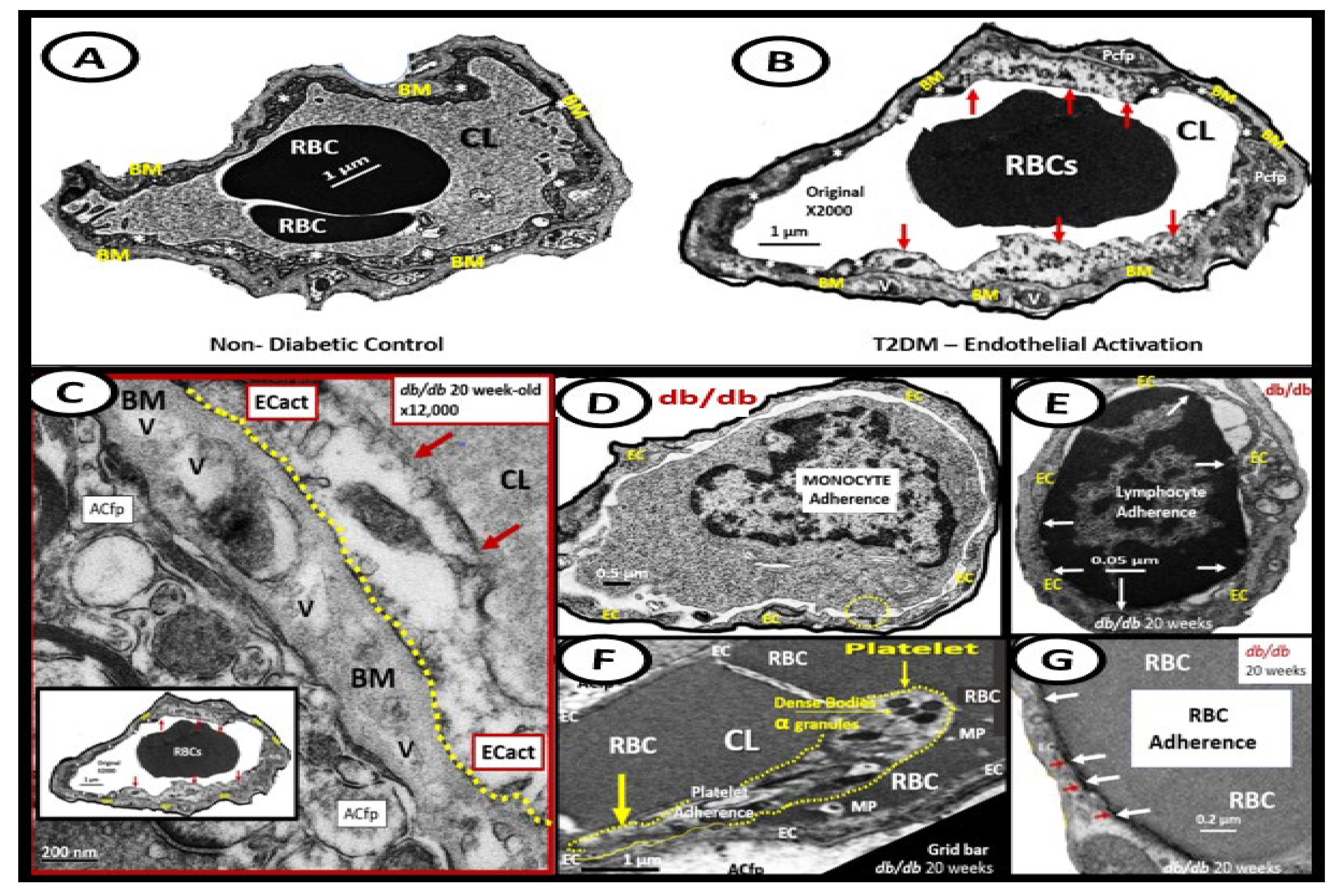 Medicina 59 00917 g009 Medicina 59 00917 g009