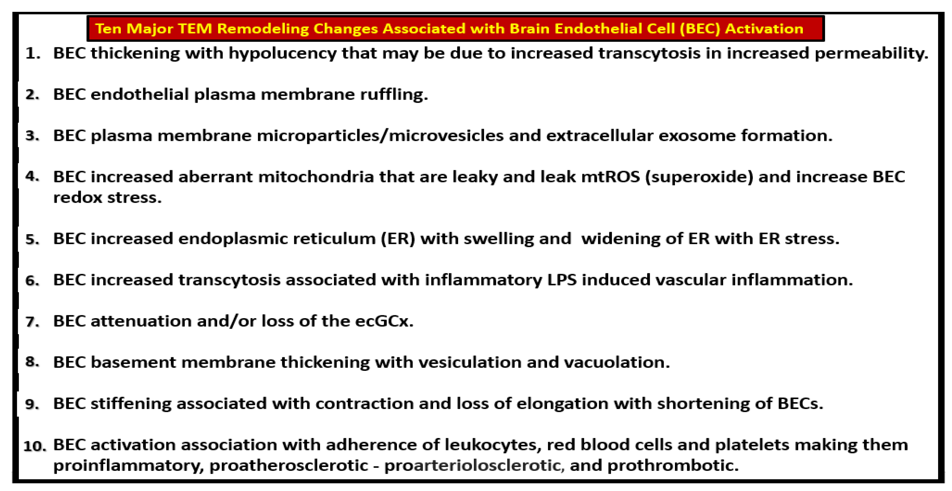 Medicina 59 00917 g010 Medicina 59 00917 g010