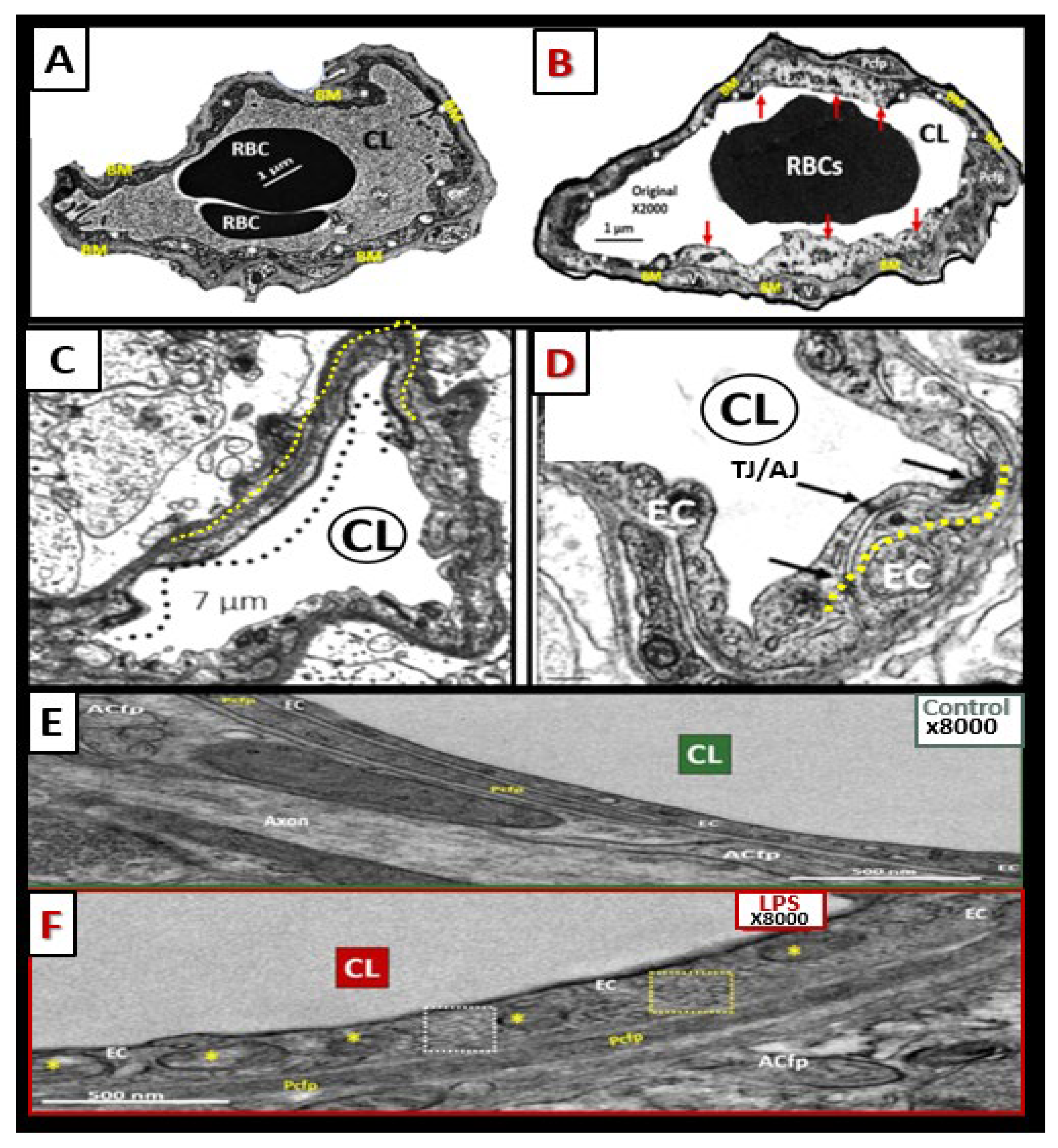 Medicina 59 00917 g011 Medicina 59 00917 g011