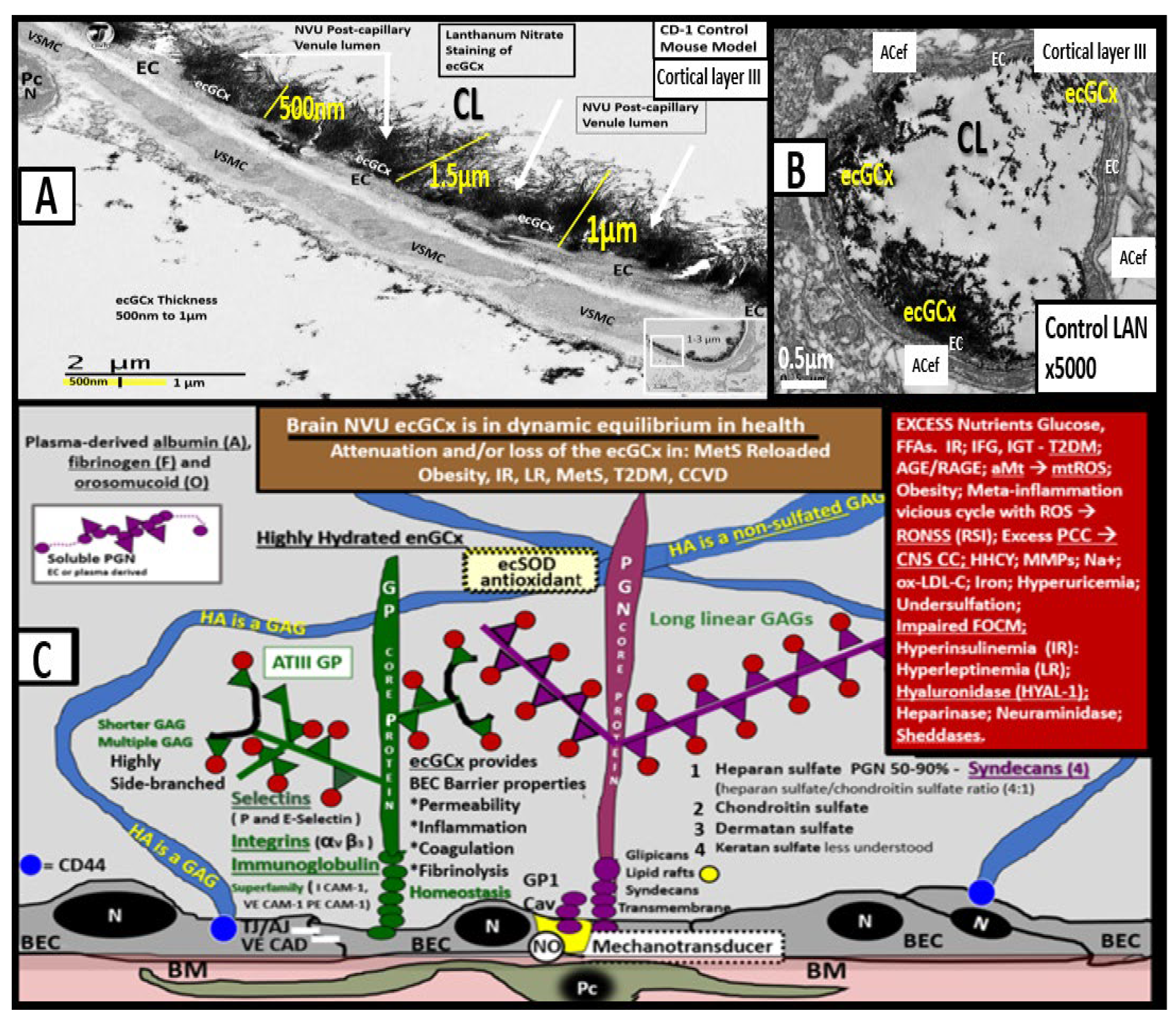 Medicina 59 00917 g012 Medicina 59 00917 g012