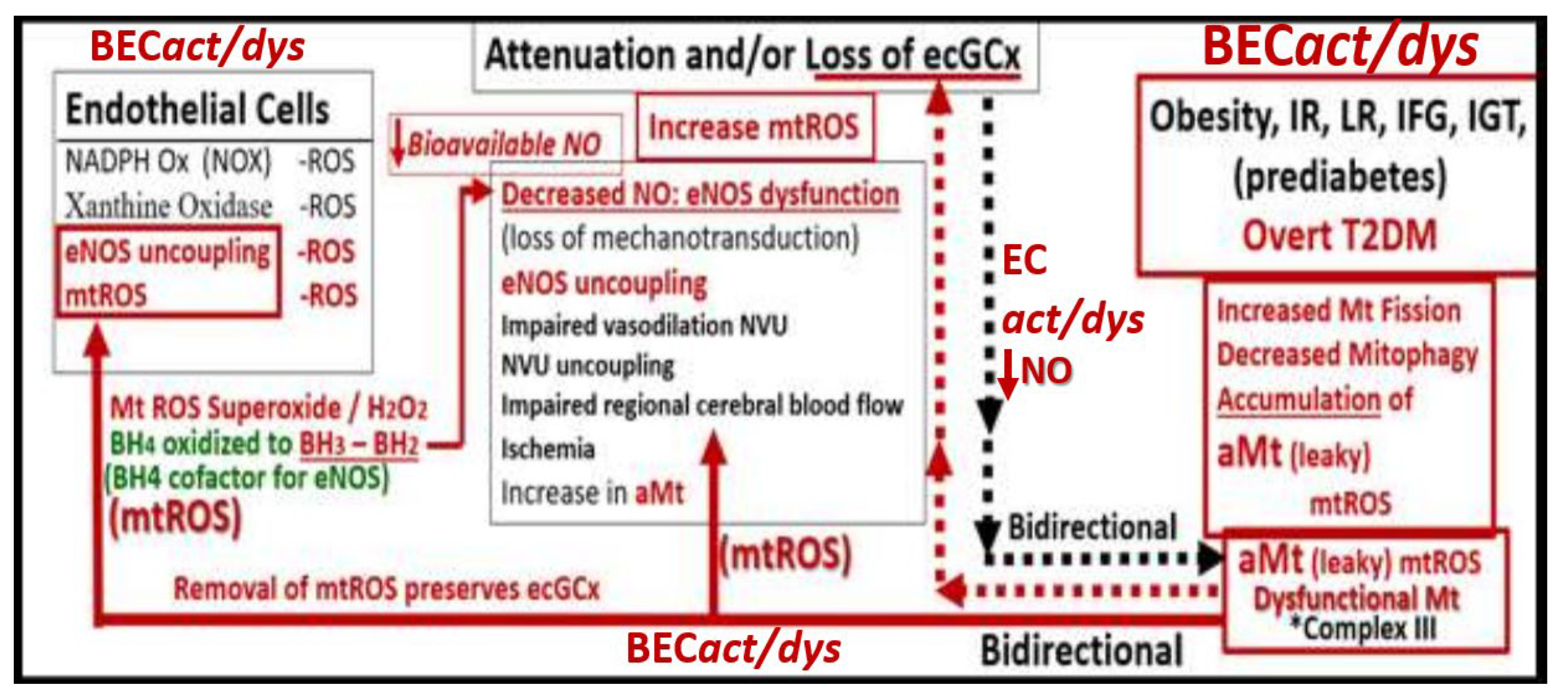 Medicina 59 00917 g013 Medicina 59 00917 g013