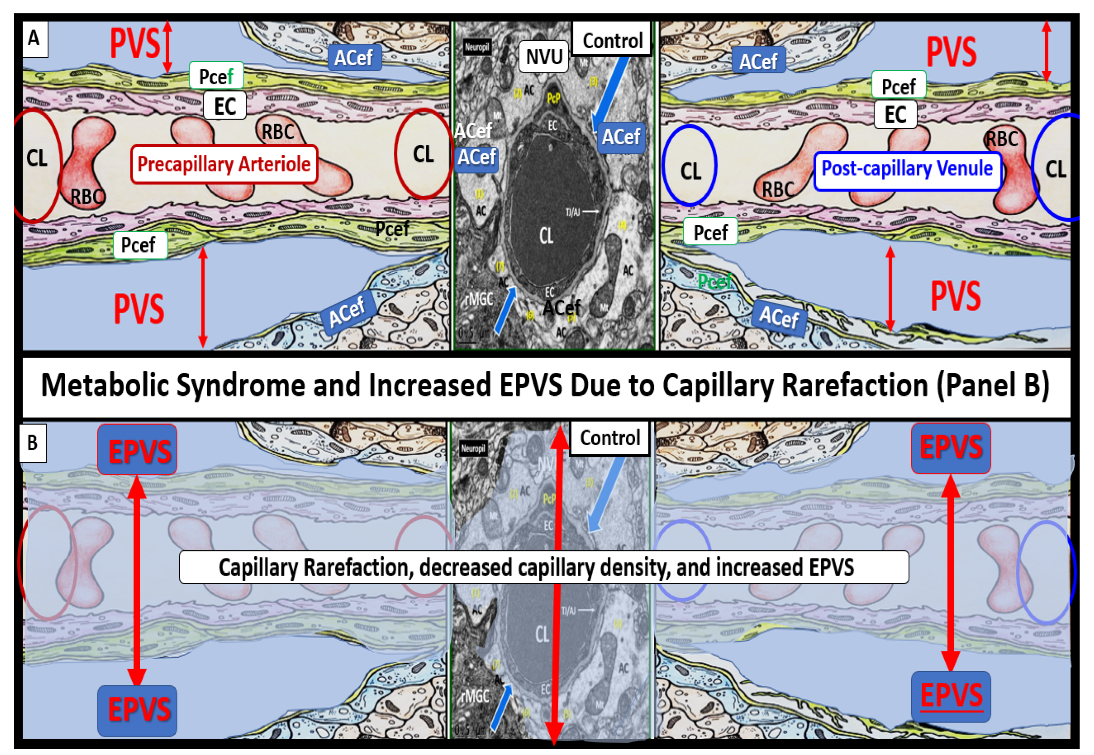 Medicina 59 00917 g015 Medicina 59 00917 g015