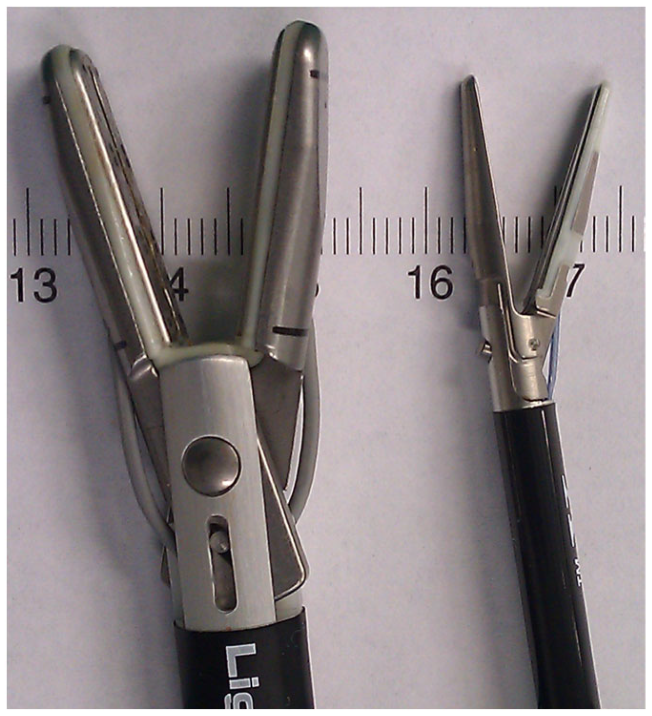 Medicina 59 00927 g001 Medicina 59 00927 g001