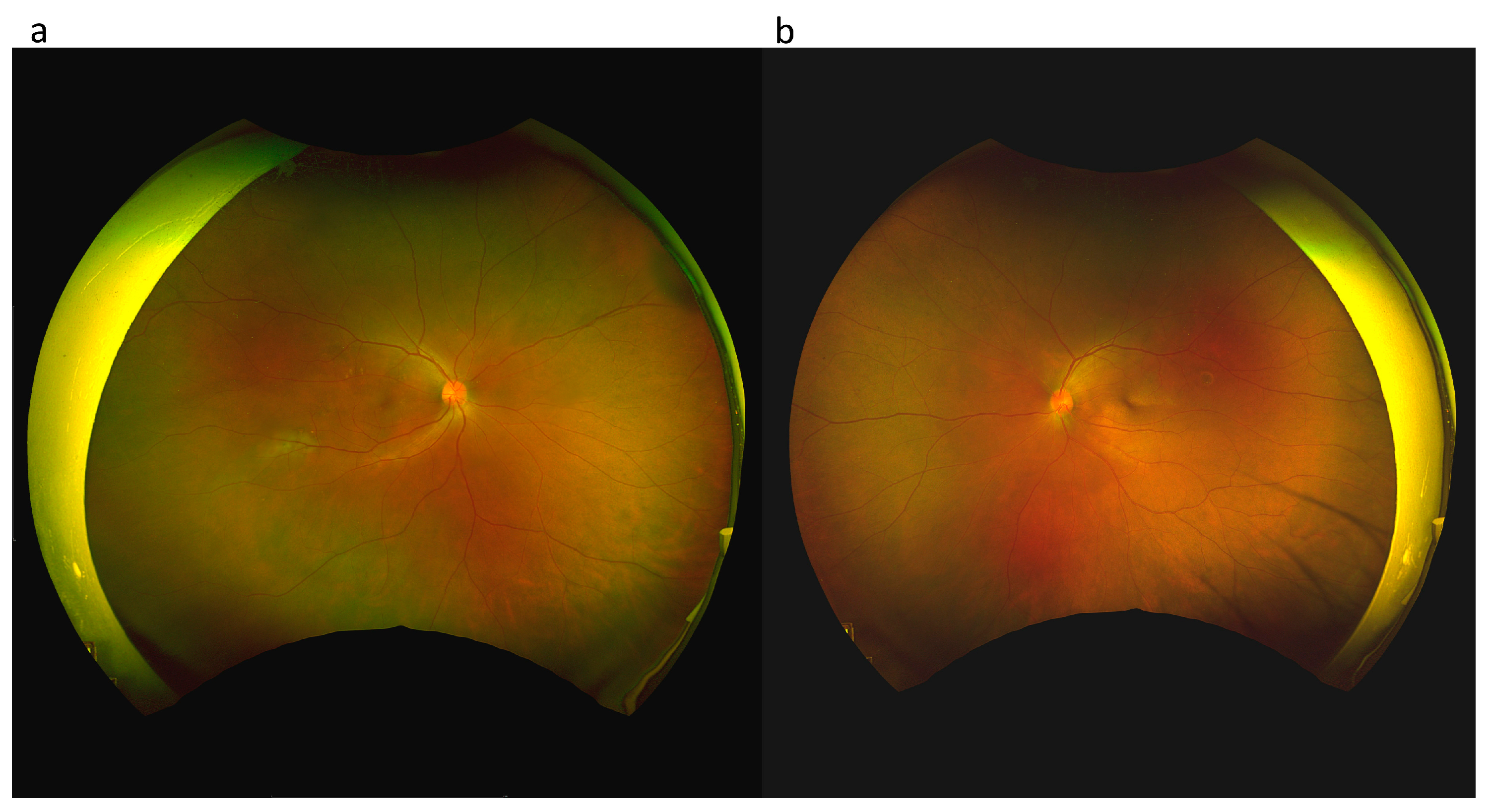 Medicina 59 00949 g002