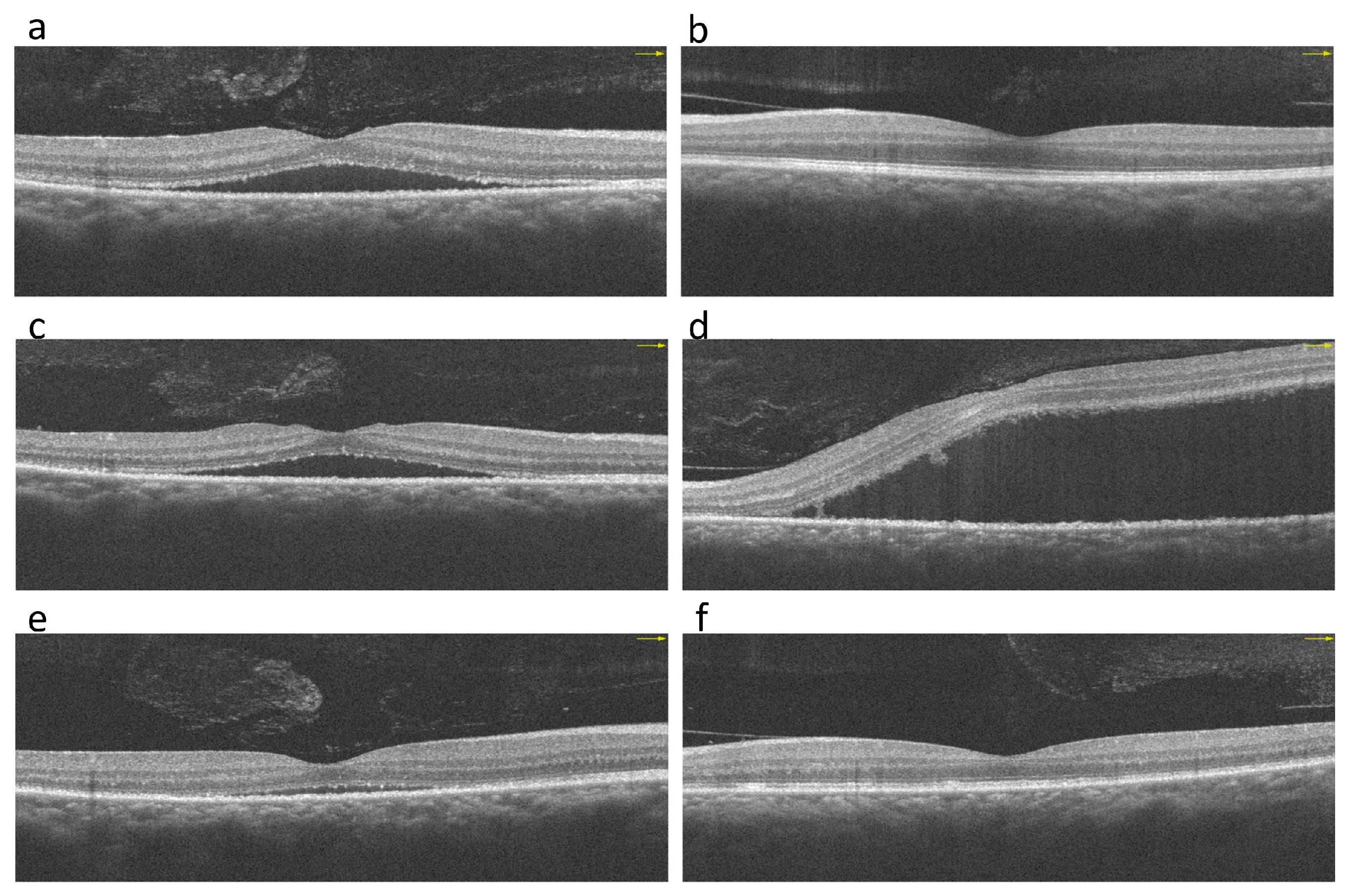 Medicina 59 00949 g003
