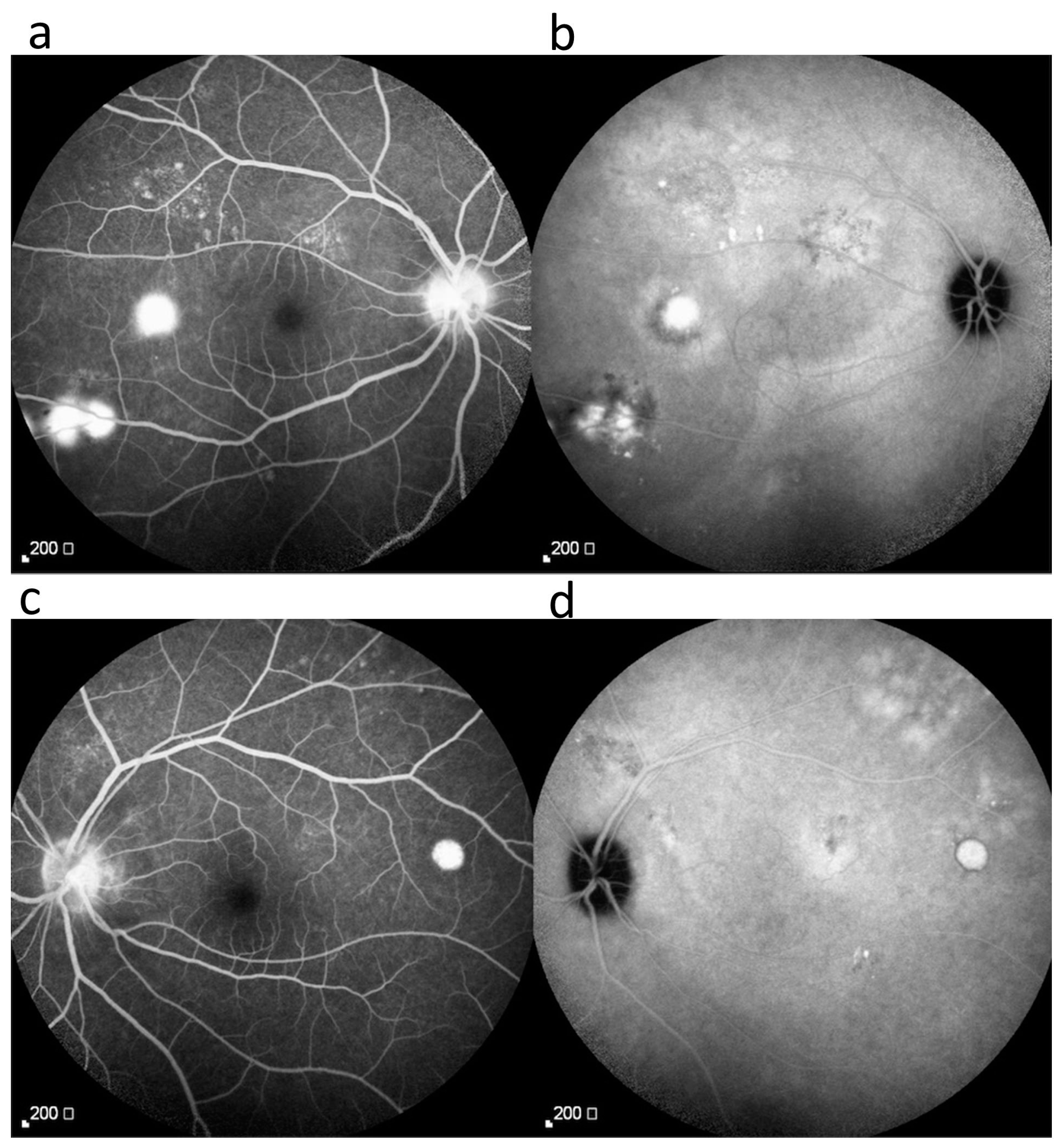 Medicina 59 00949 g004