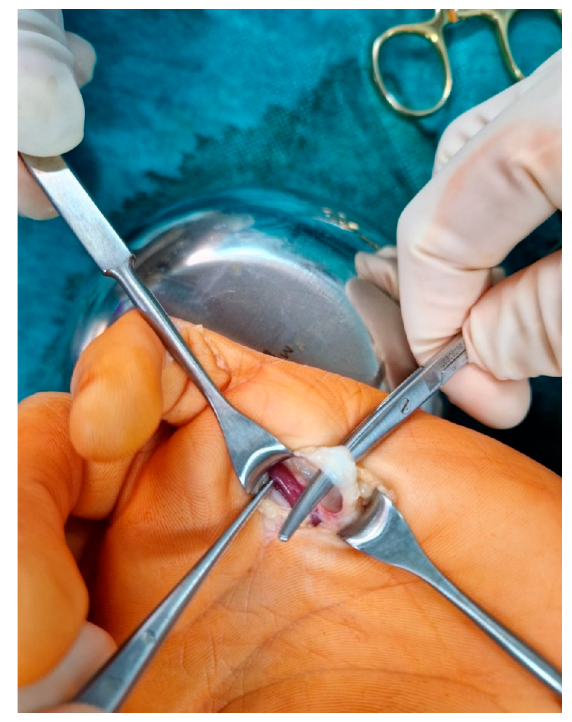 Medicina 59 00966 g002