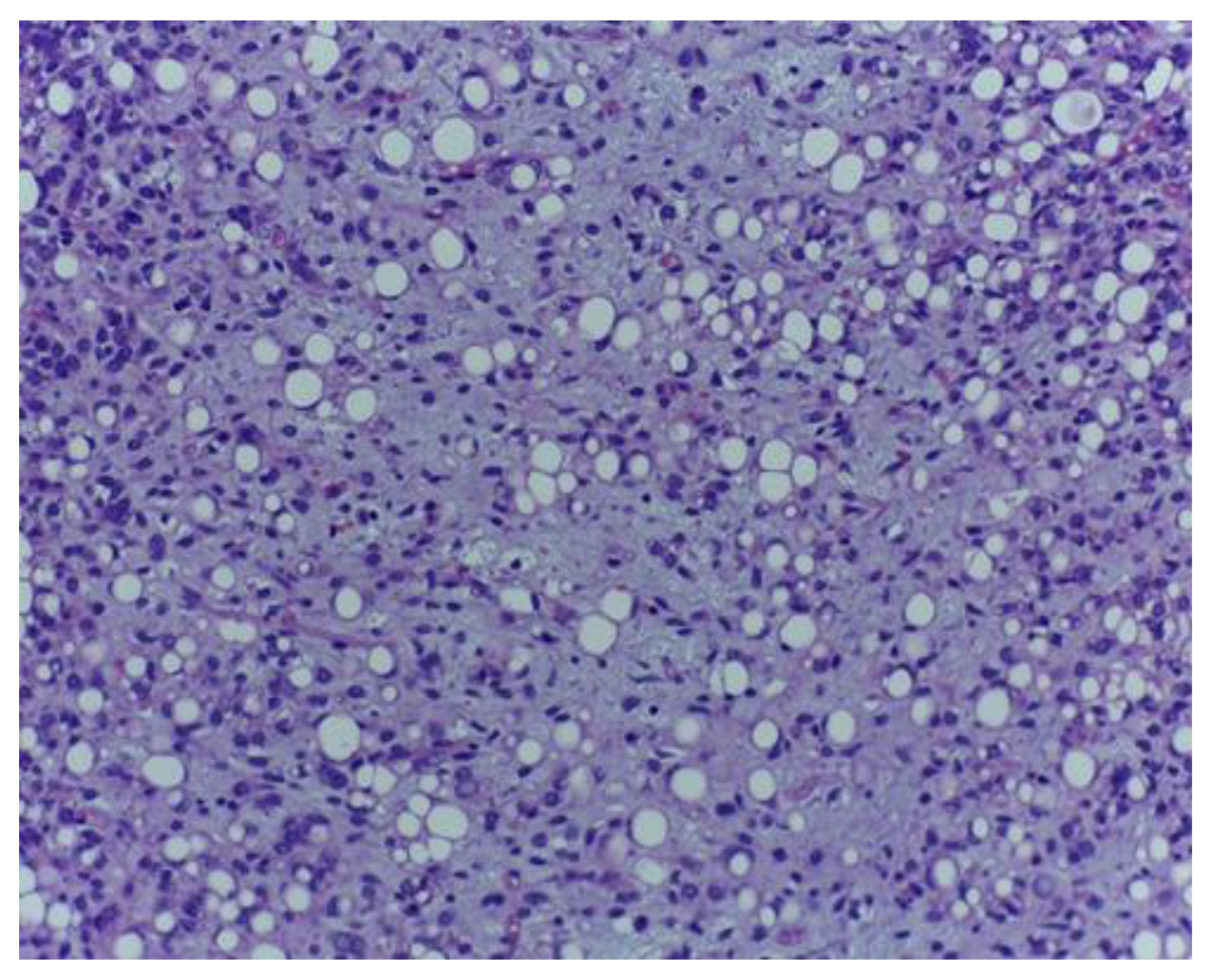 Medicina 59 00967 g001 Medicina 59 00967 g001