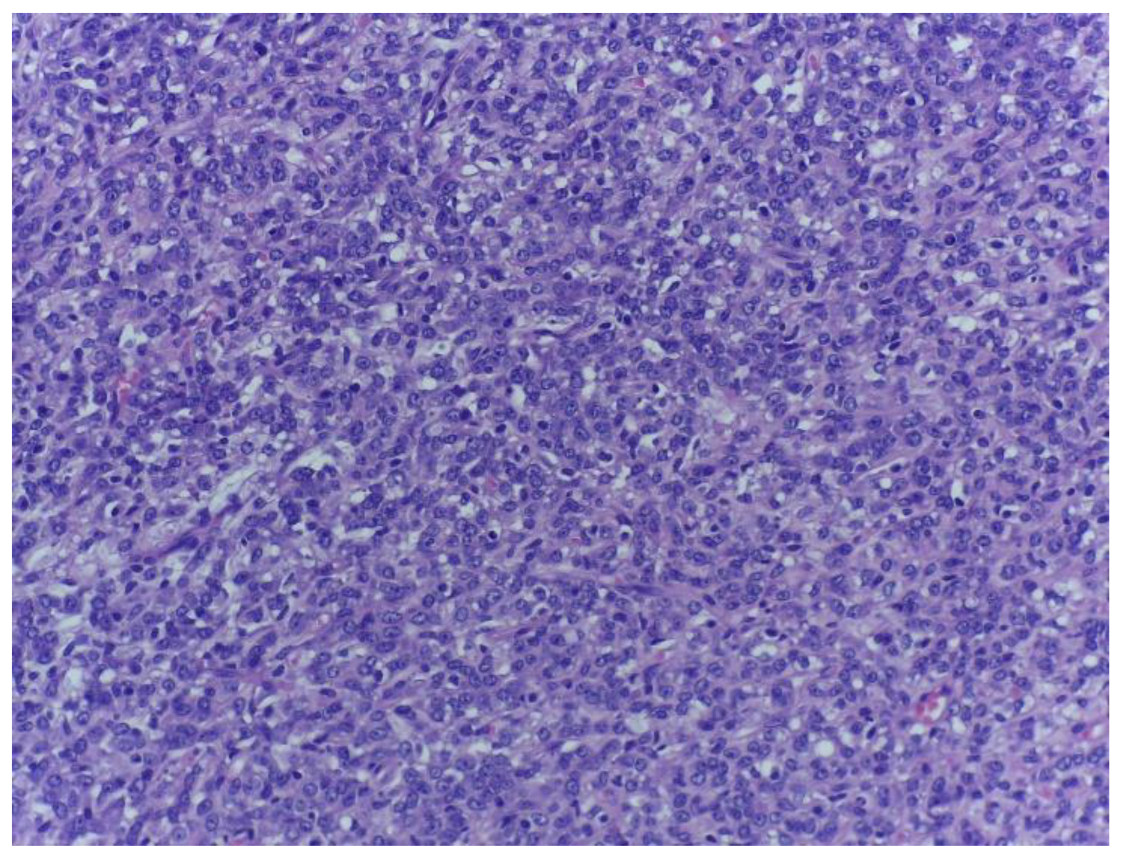 Medicina 59 00967 g004 Medicina 59 00967 g004