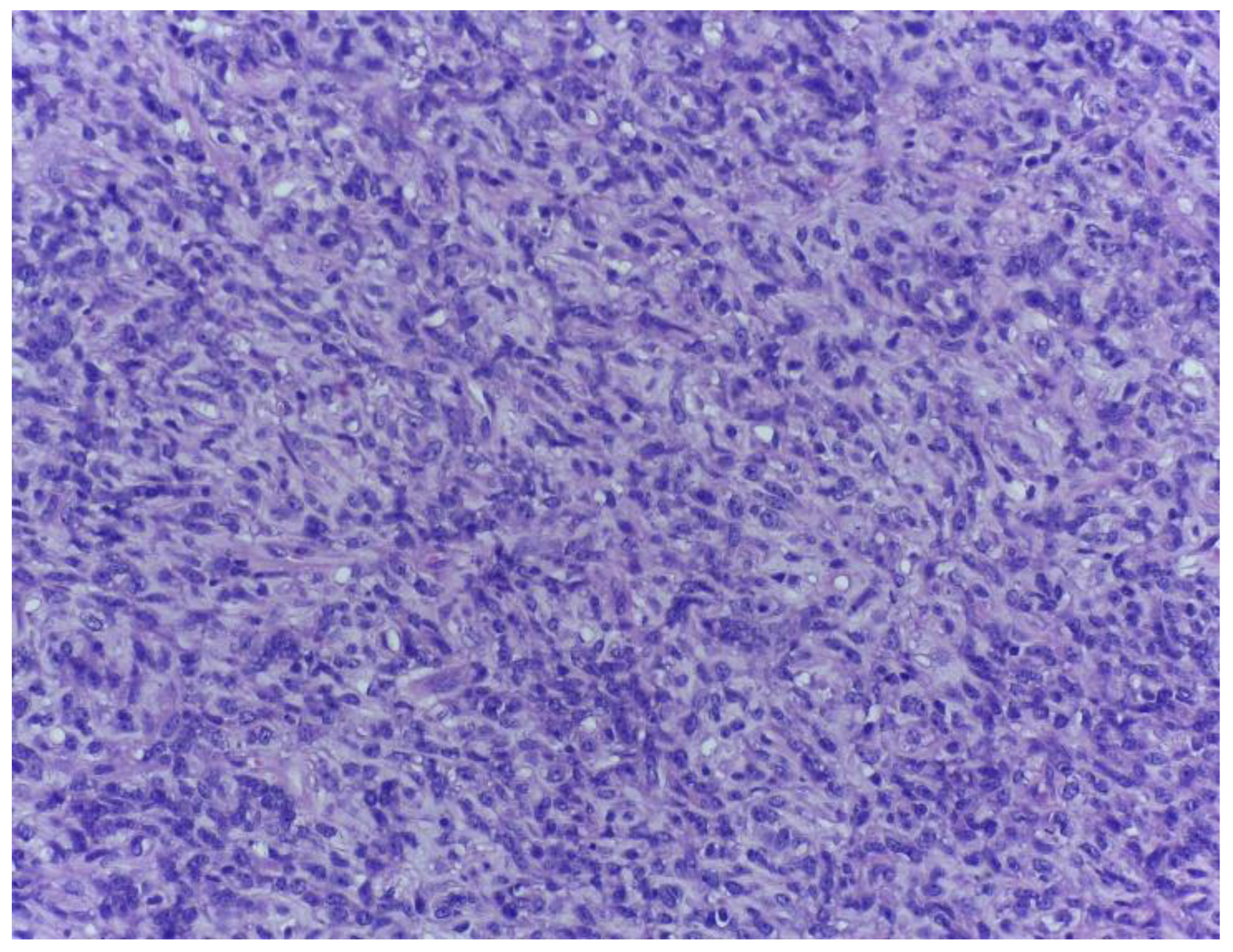 Medicina 59 00967 g005 Medicina 59 00967 g005