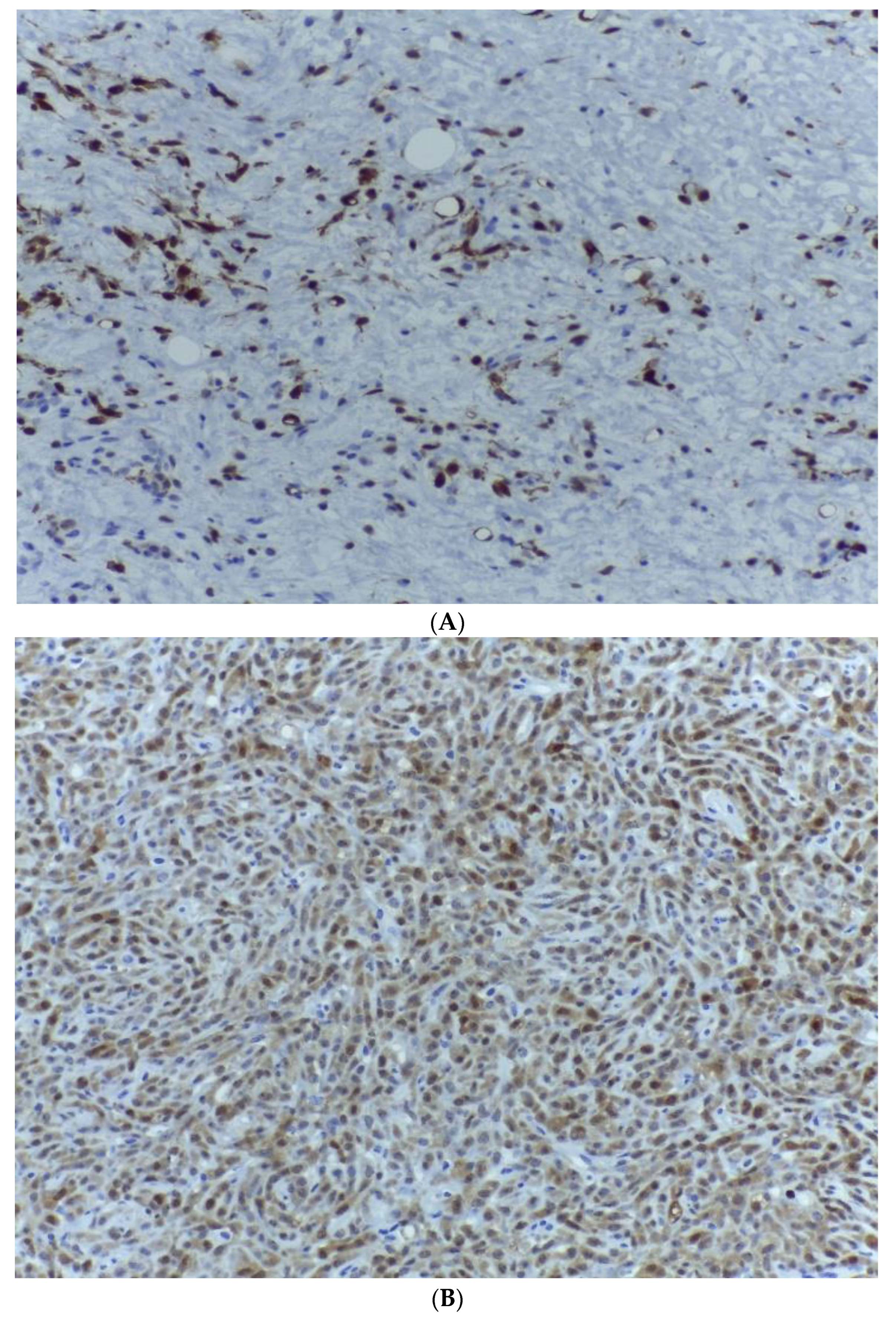 Medicina 59 00967 g007 Medicina 59 00967 g007