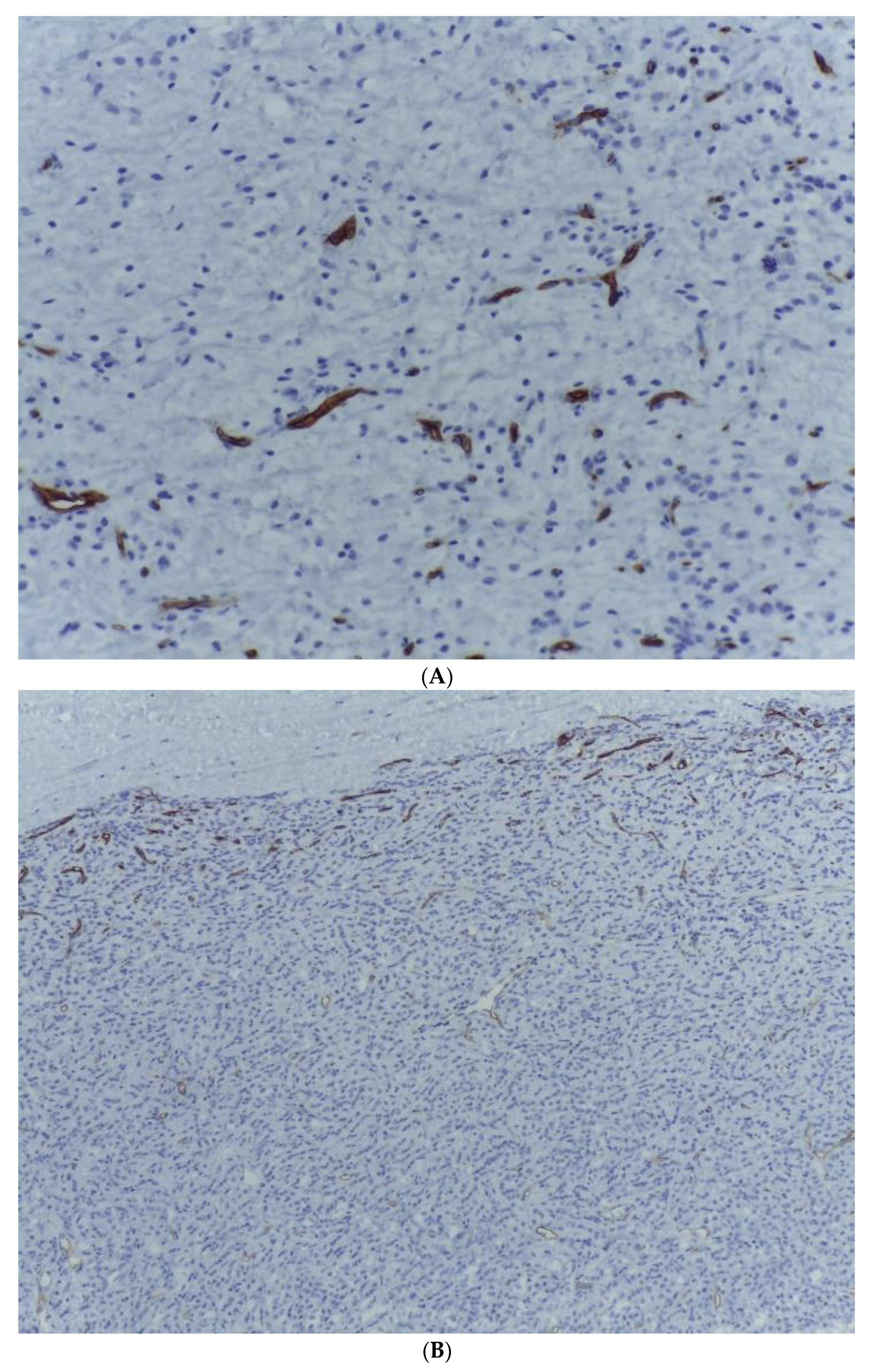 Medicina 59 00967 g009 Medicina 59 00967 g009