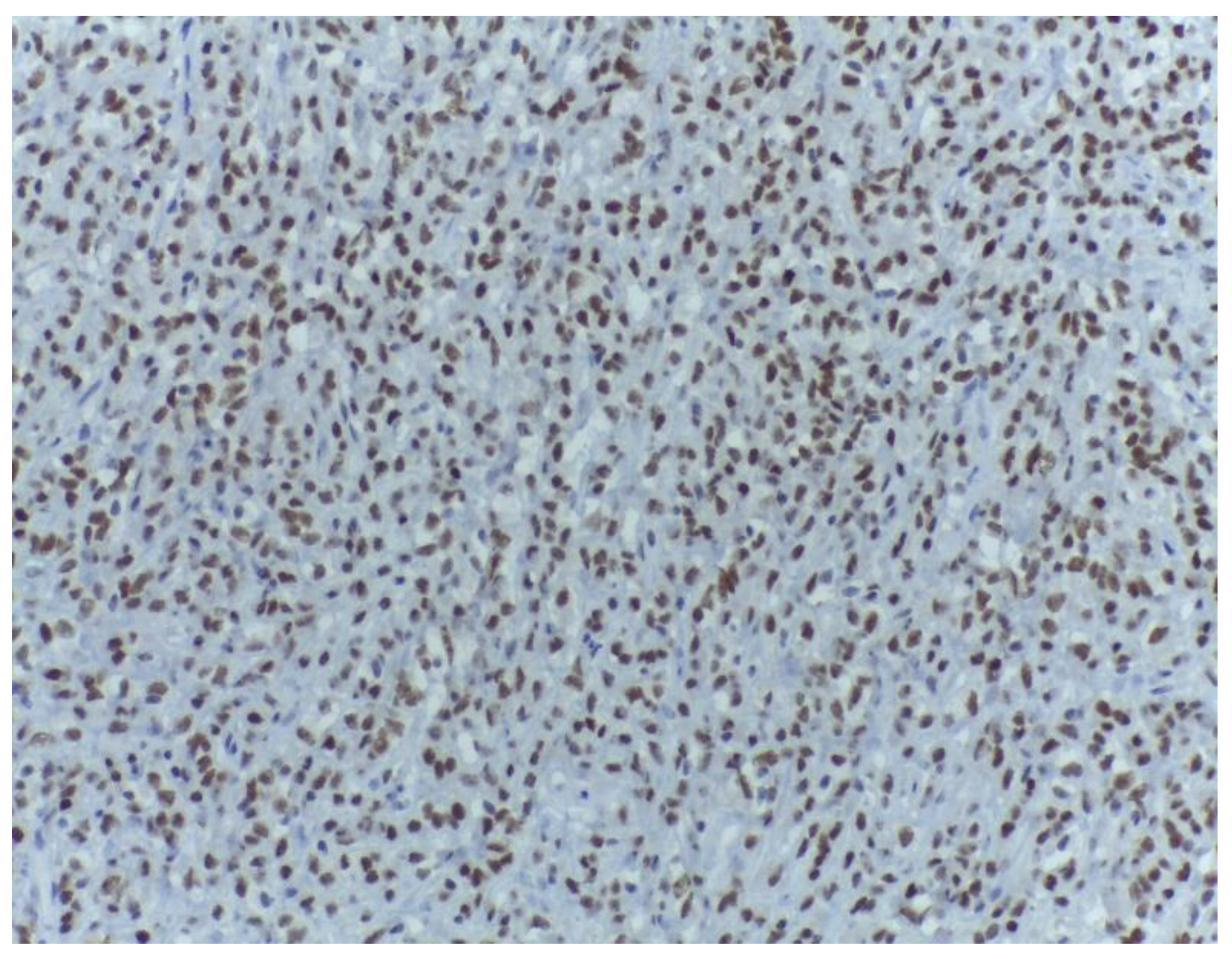 Medicina 59 00967 g011 Medicina 59 00967 g011