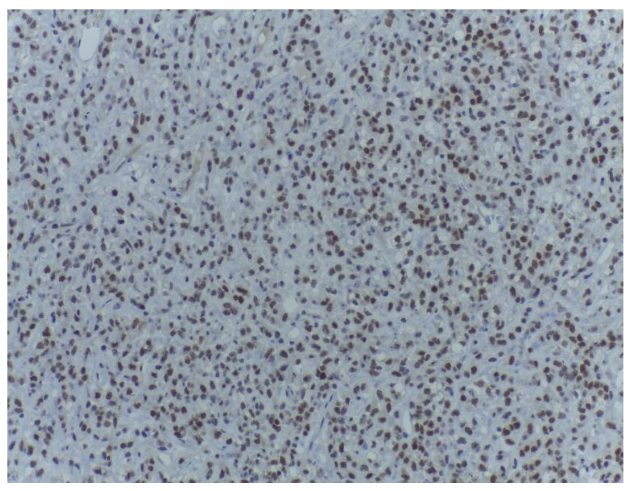 Medicina 59 00967 g012 Medicina 59 00967 g012