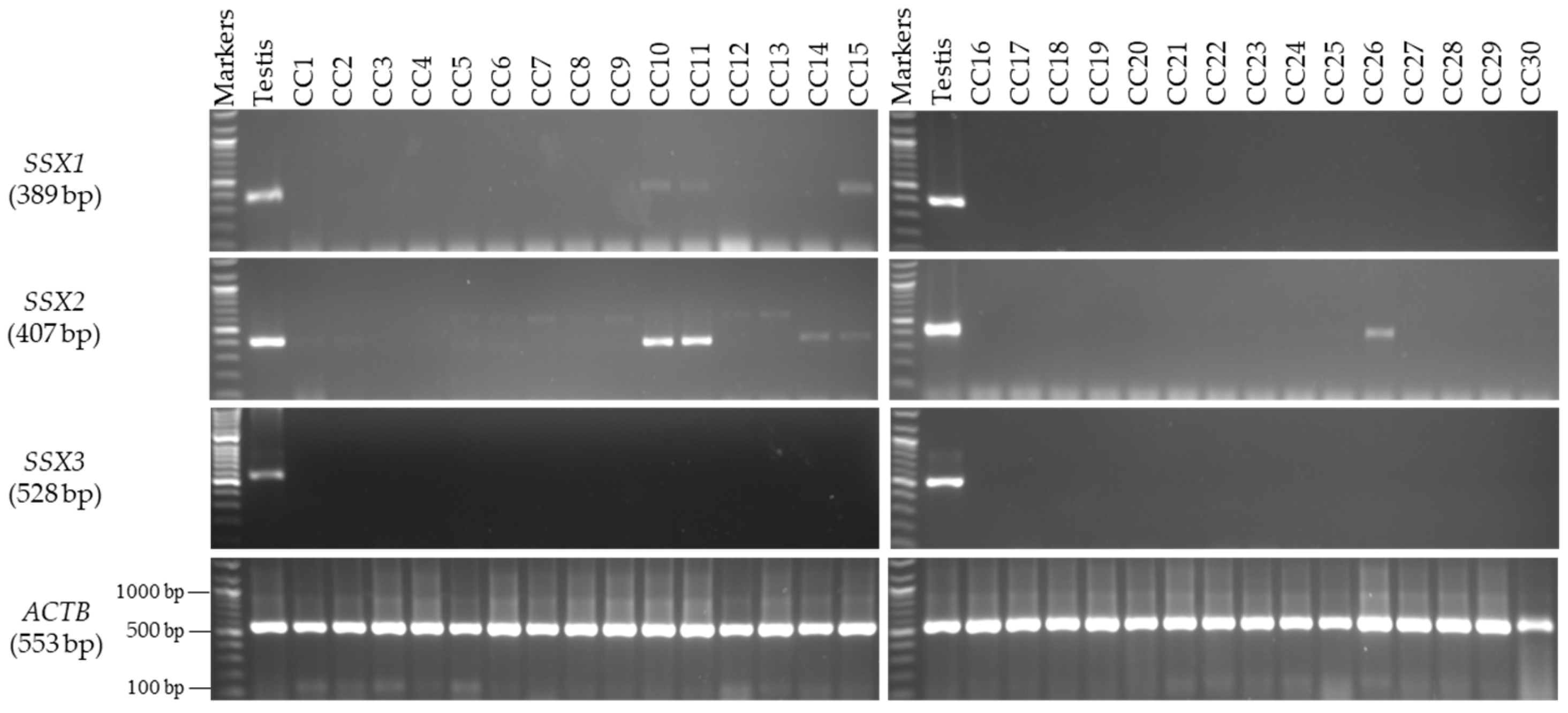 Medicina 59 00988 g002