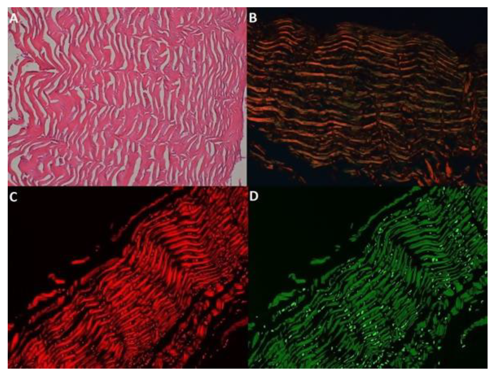 Medicina 59 01002 g001 Medicina 59 01002 g001