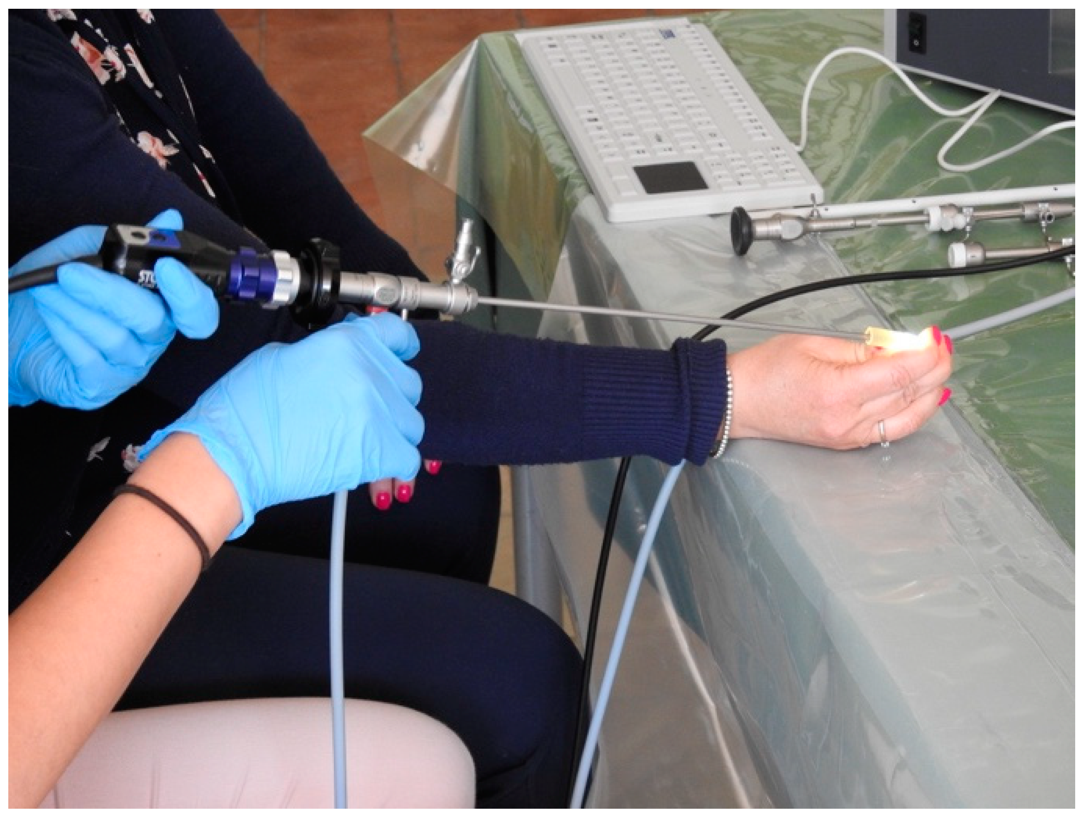 Medicina 59 01019 g001 Medicina 59 01019 g001