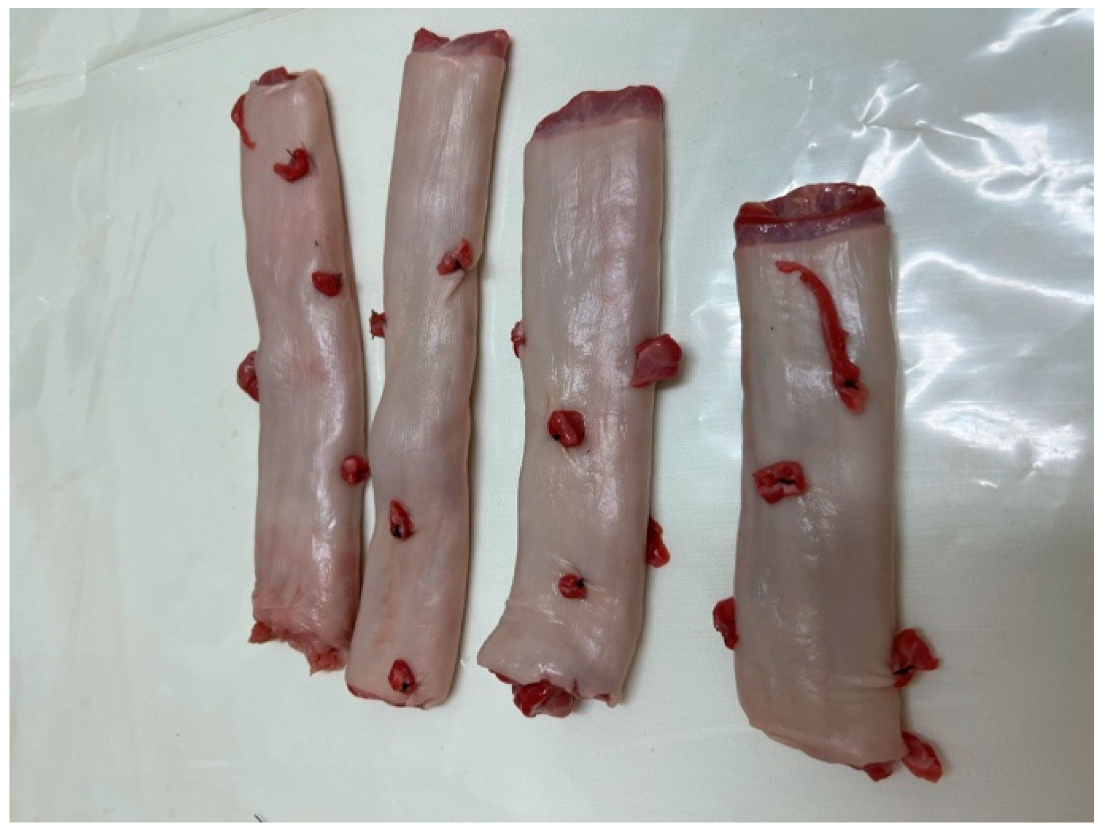 Medicina 59 01019 g004 Medicina 59 01019 g004