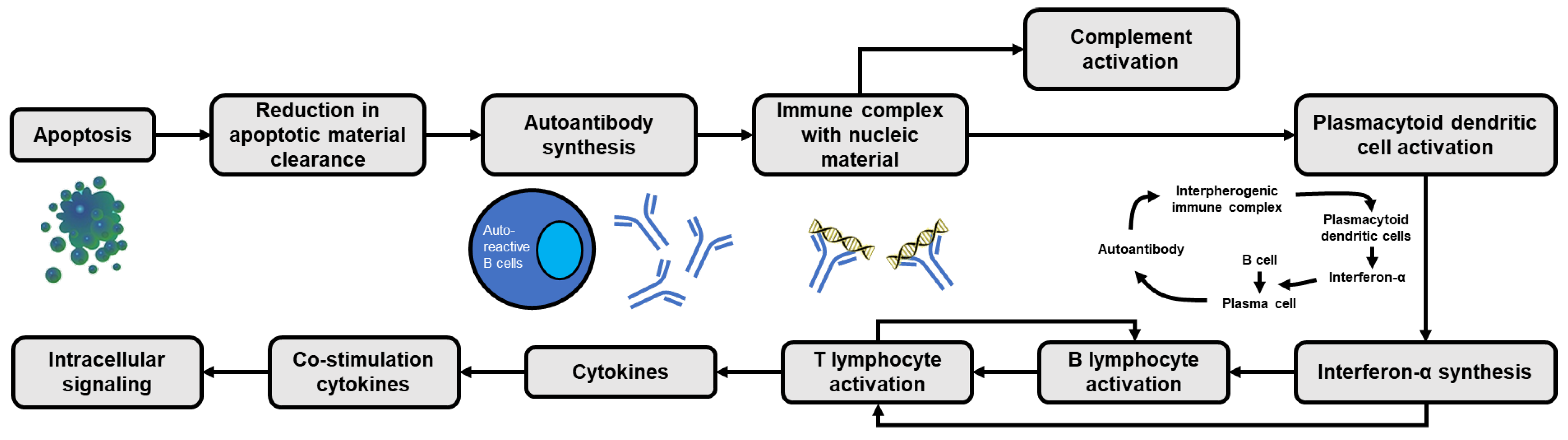 Medicina 59 01033 g001