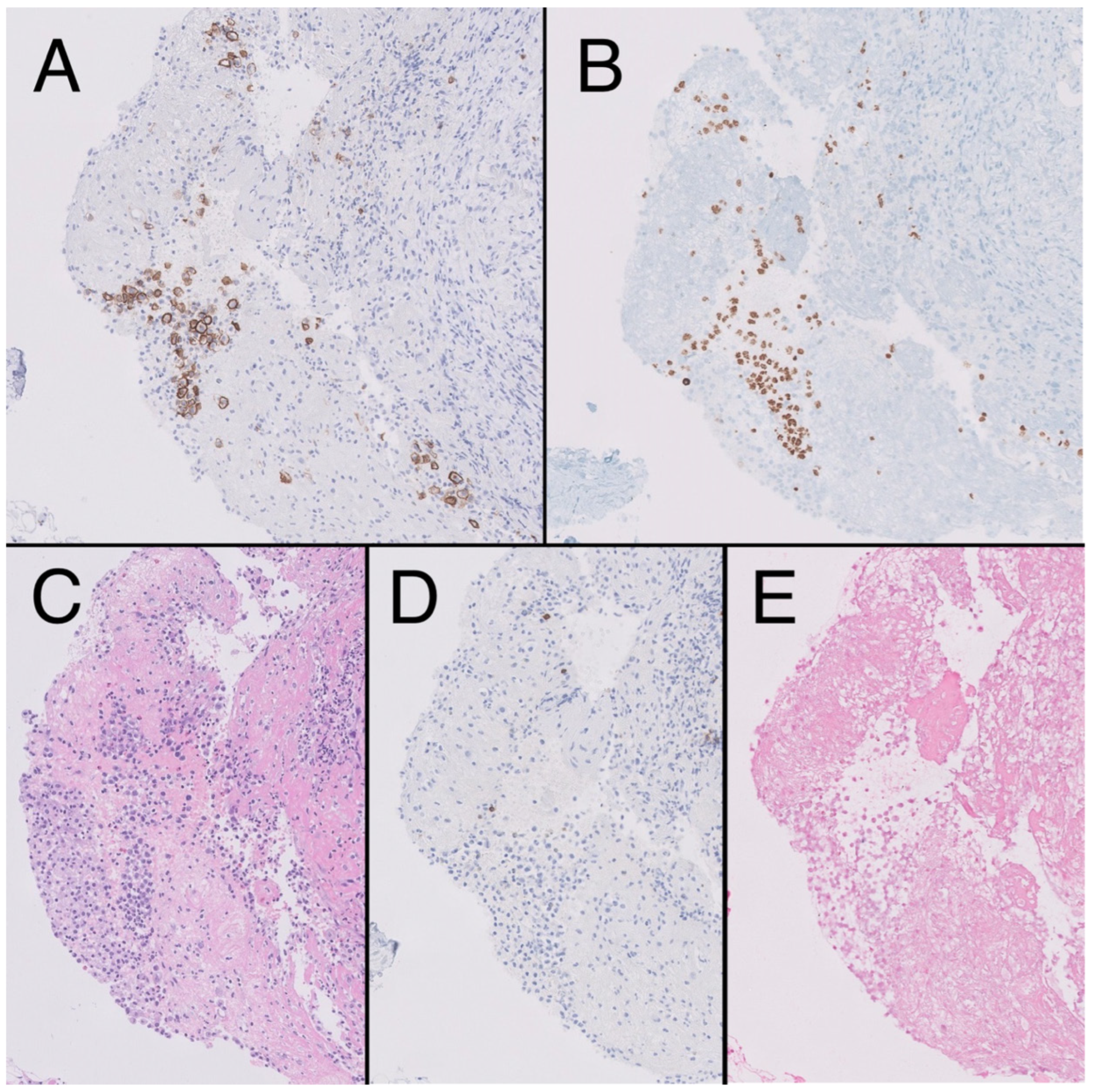 Medicina 59 01049 g003