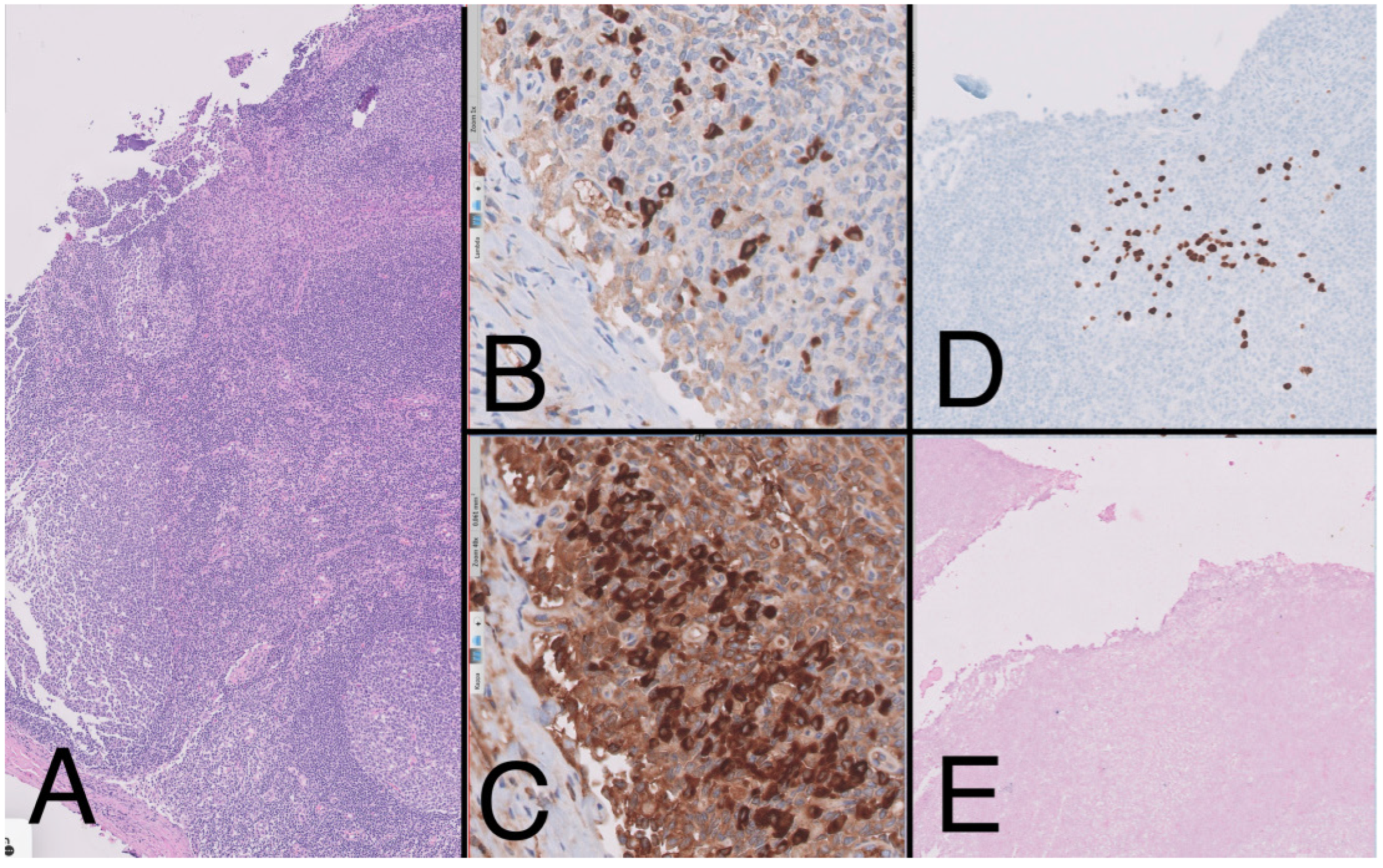 Medicina 59 01049 g004