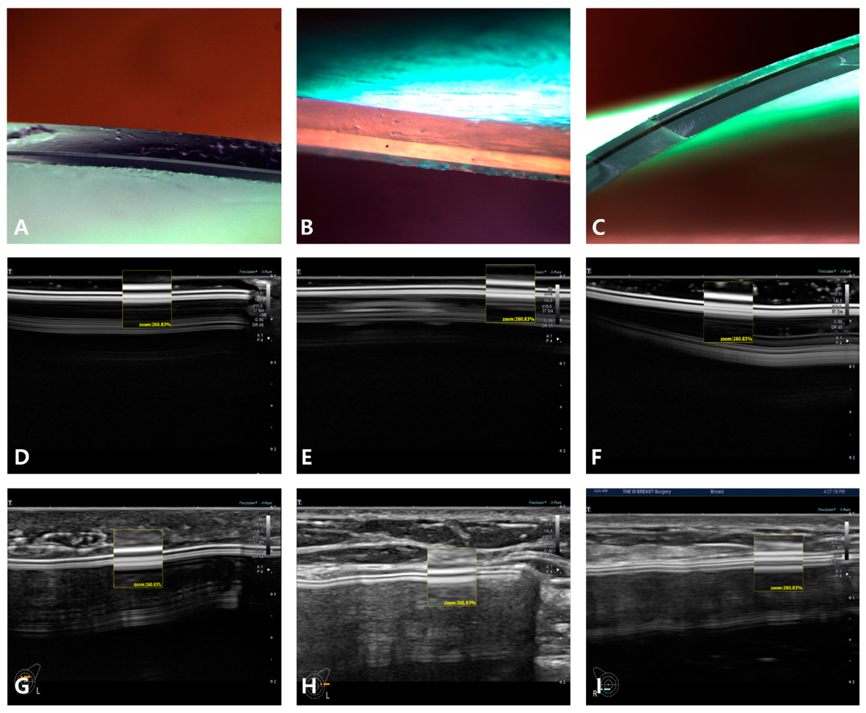 Medicina 59 01092 g006