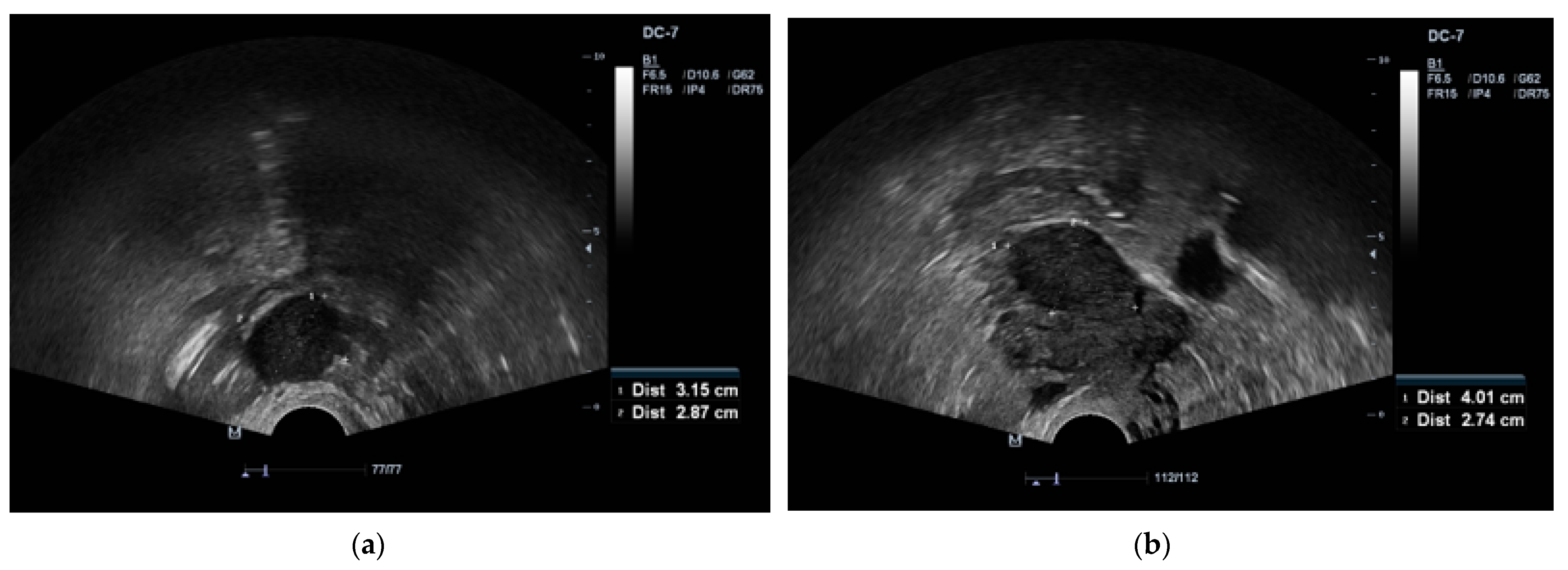 Medicina 59 01097 g001