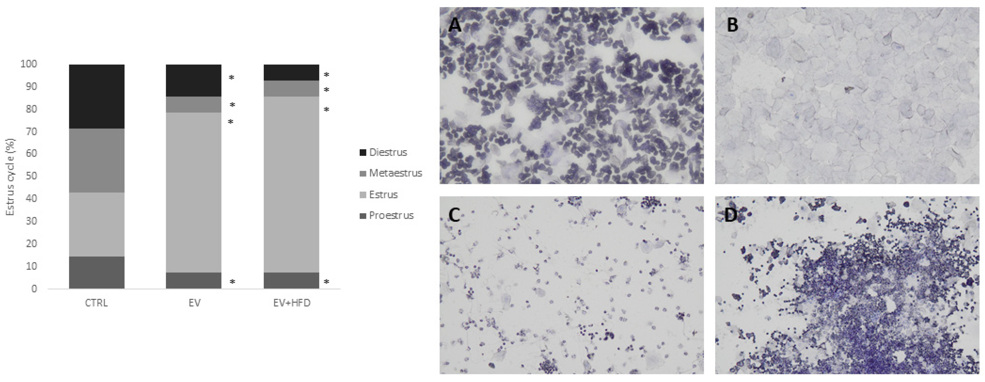 Medicina 59 01104 g002