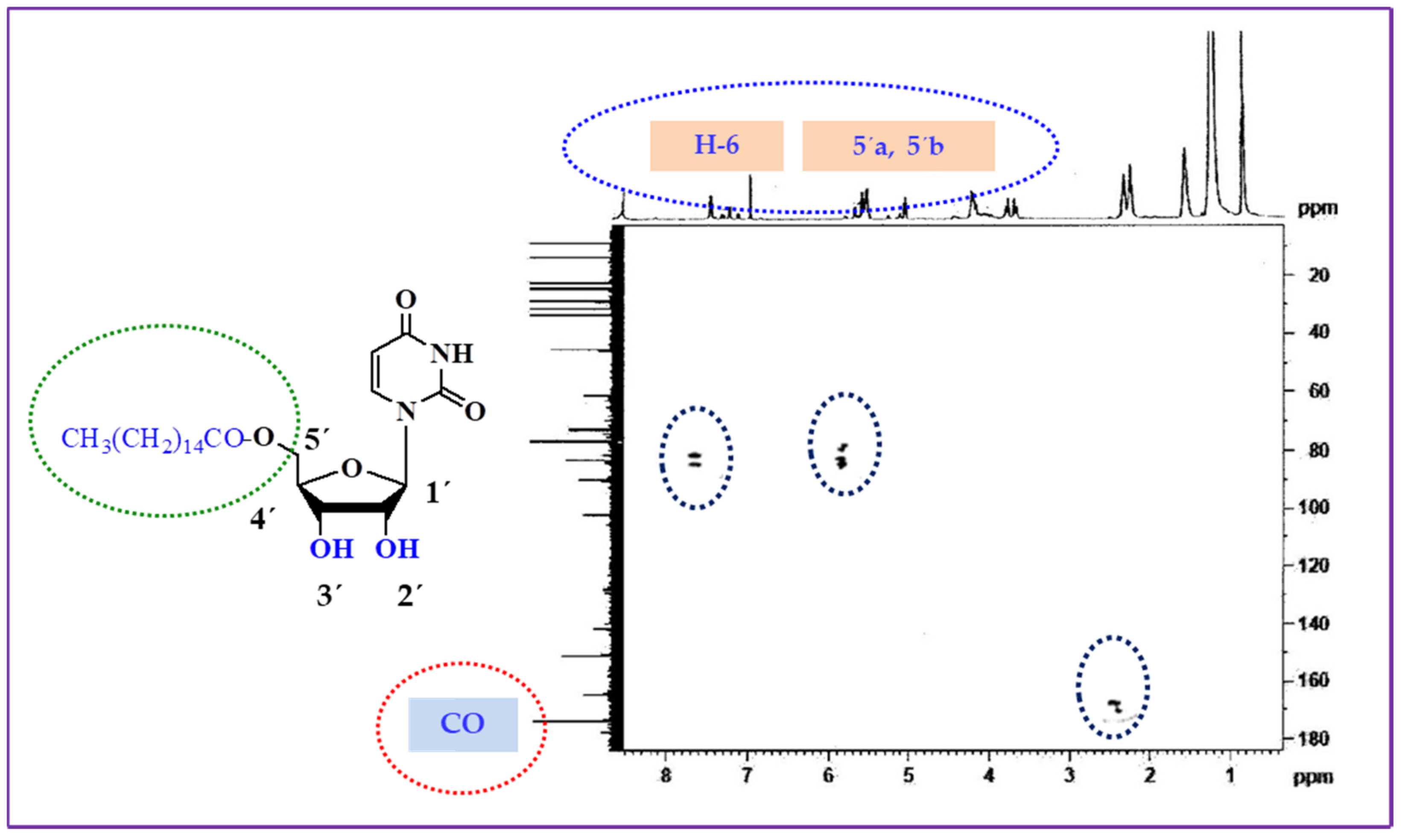 Medicina 59 01107 g002 Medicina 59 01107 g002