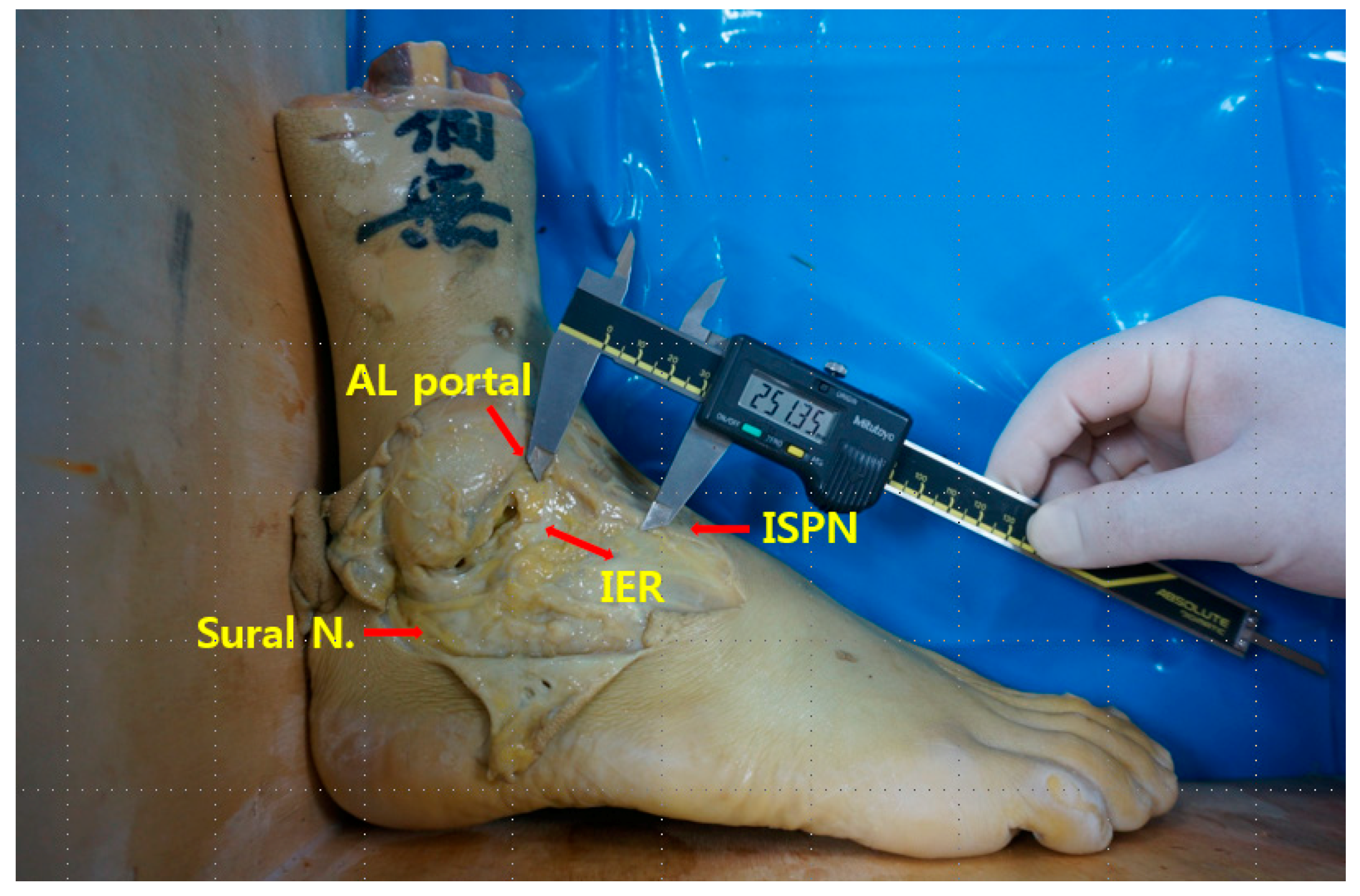 Medicina 59 01109 g001 Medicina 59 01109 g001