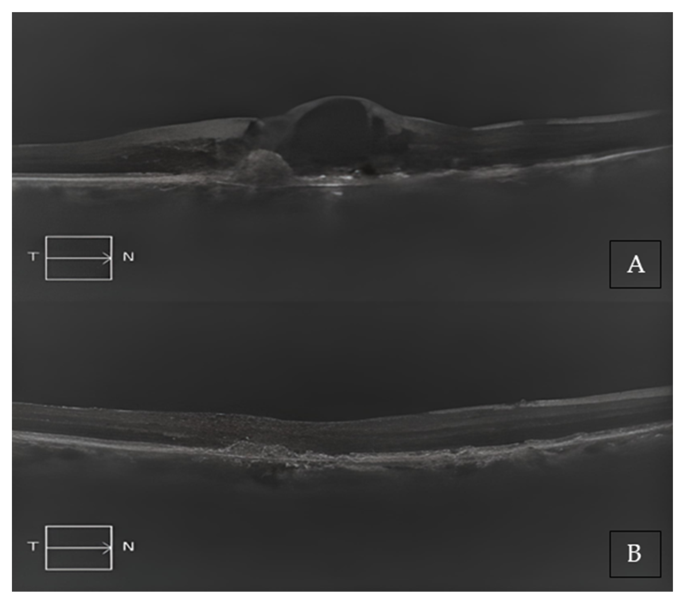 Medicina 59 01110 g002