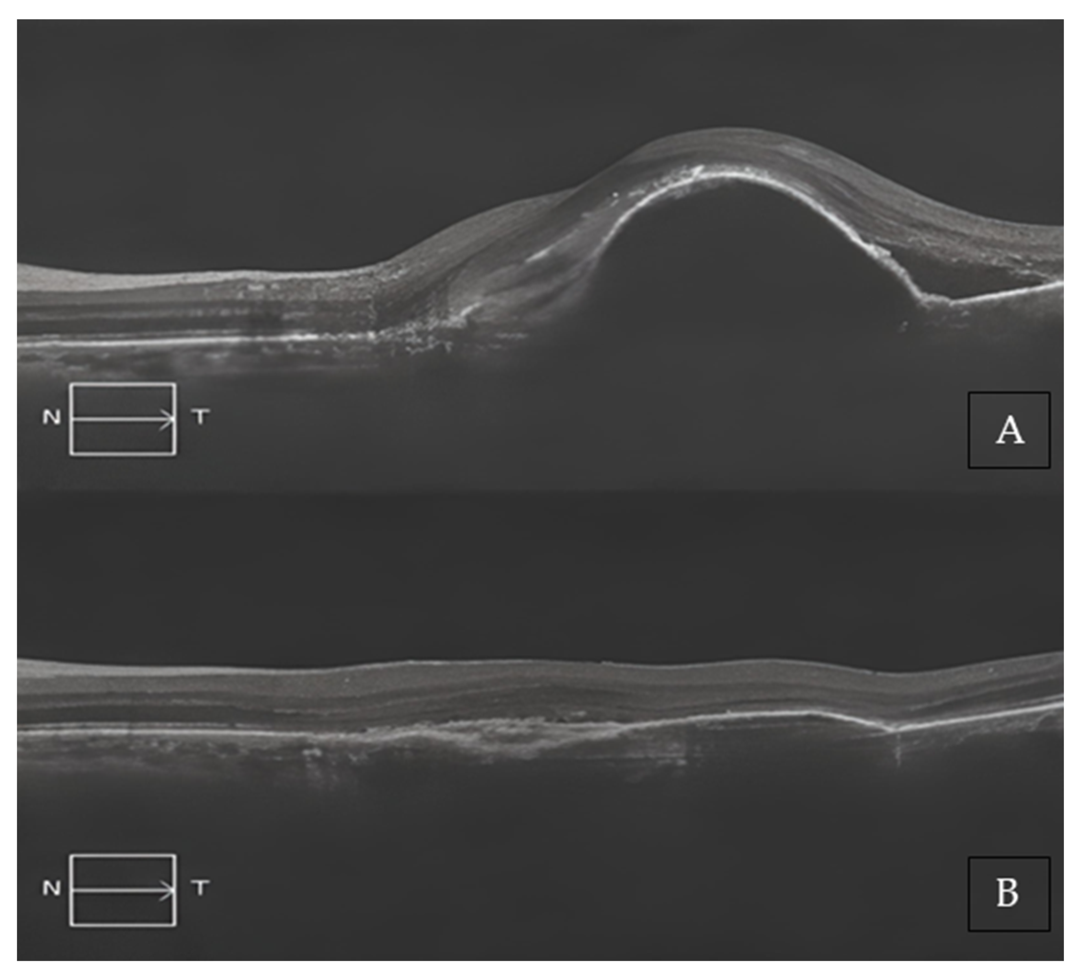 Medicina 59 01110 g003