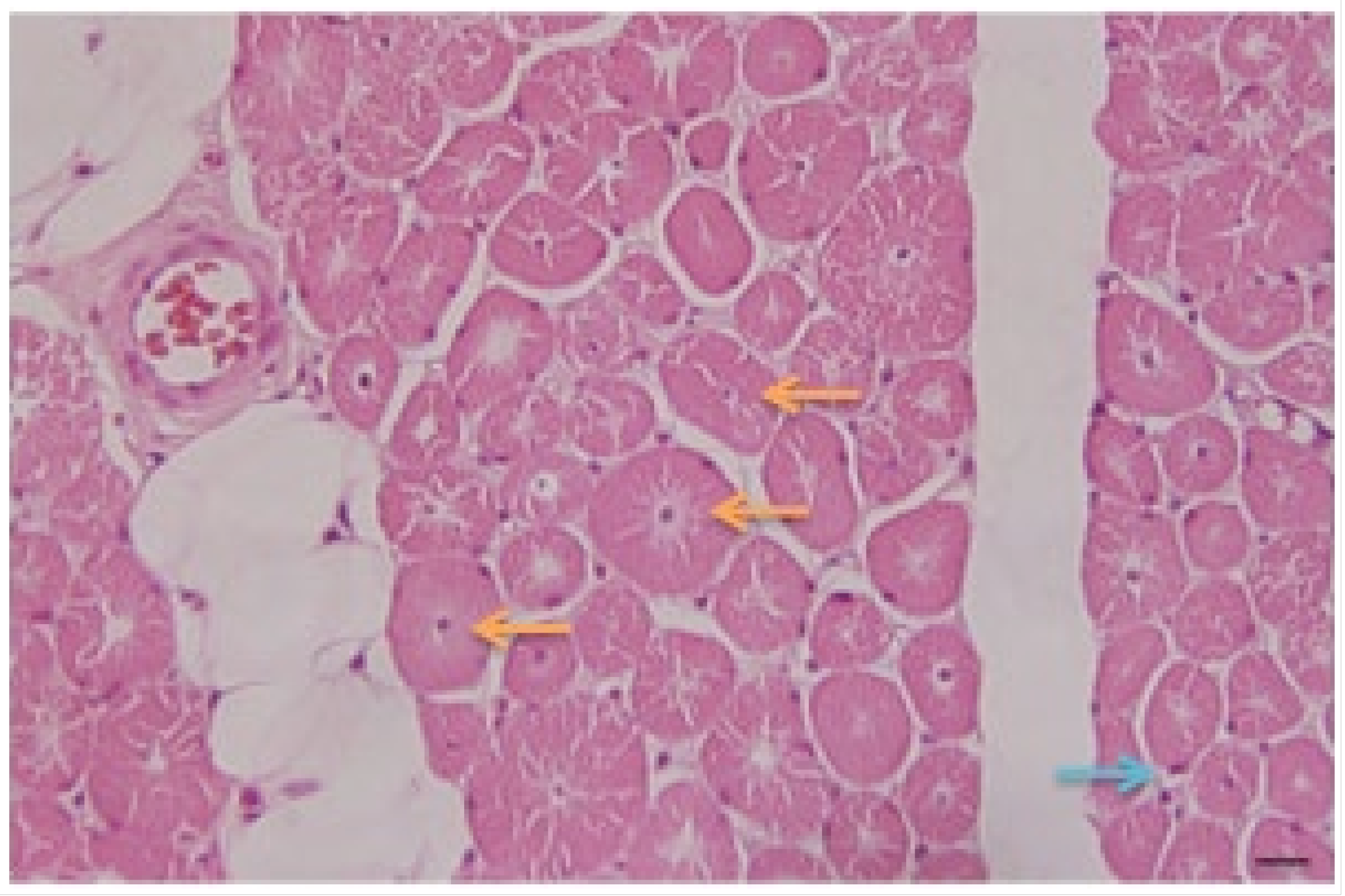 Medicina 59 01112 g003