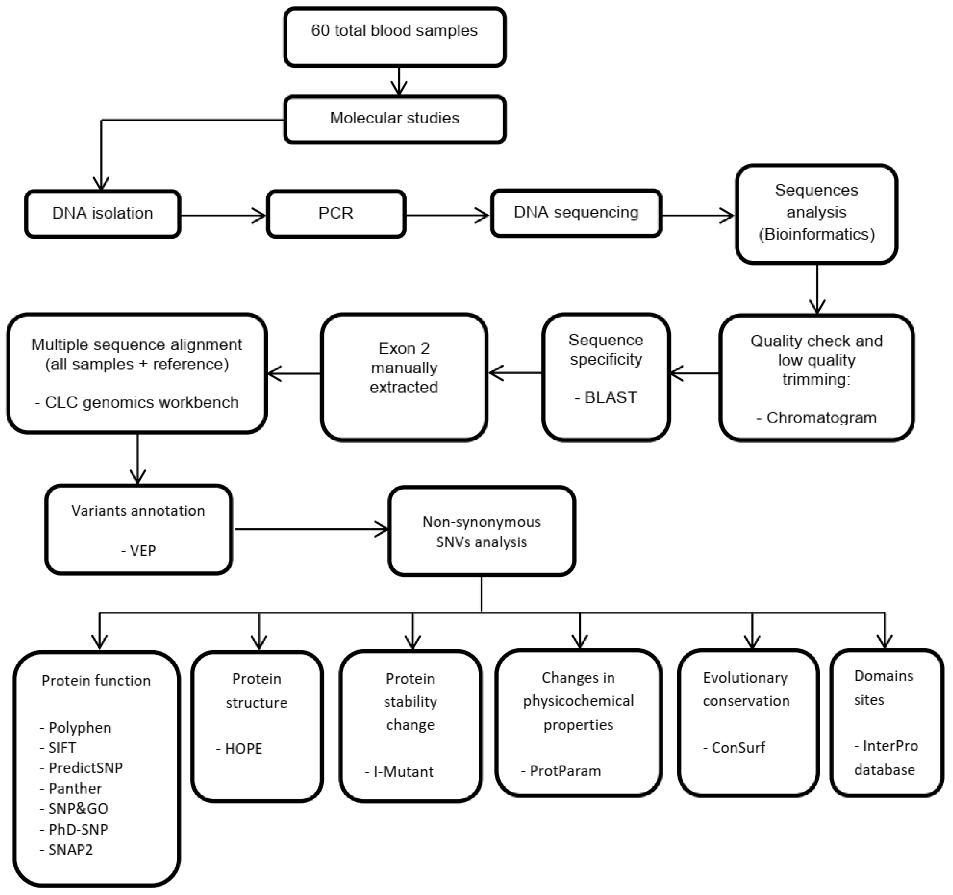 Medicina 59 01116 g001