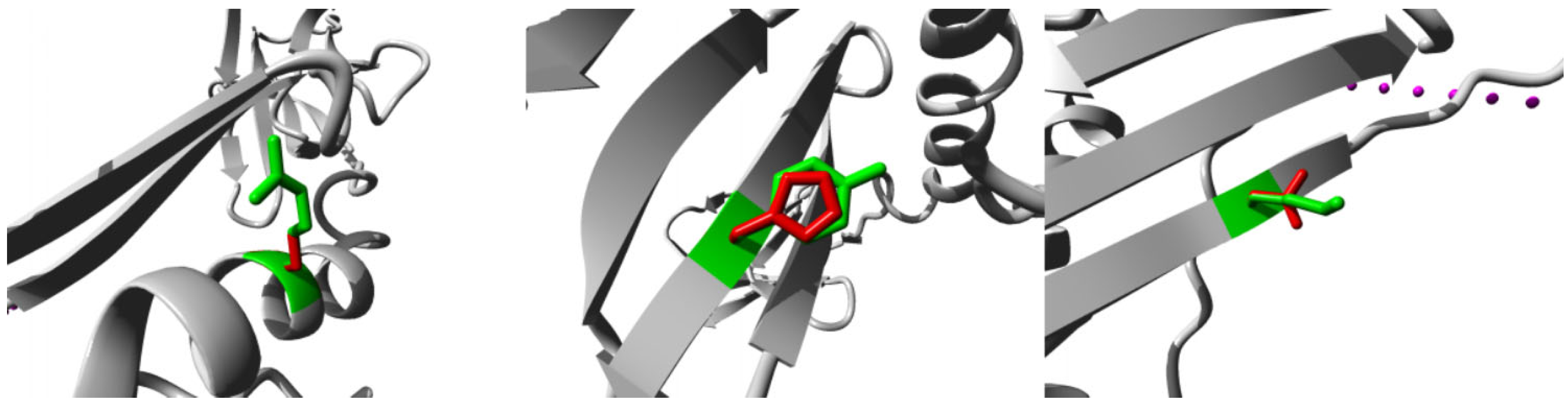 Medicina 59 01116 g002